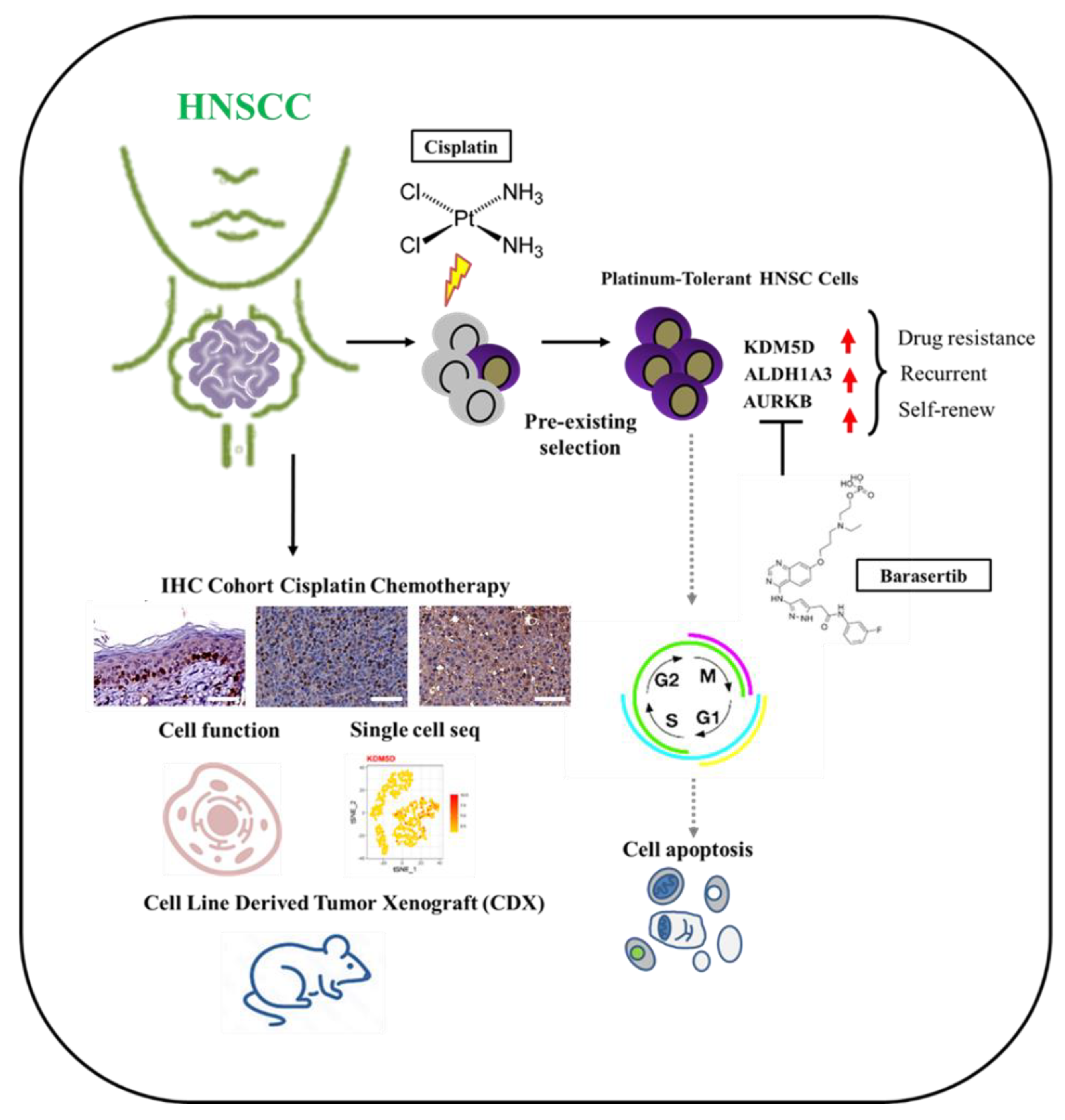 Ijms 24 05310 g008 Ijms 24 05310 g008