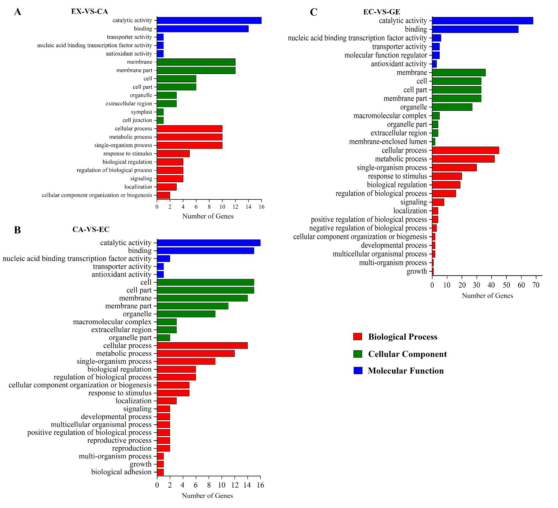 Ijms 24 05311 g004 Ijms 24 05311 g004