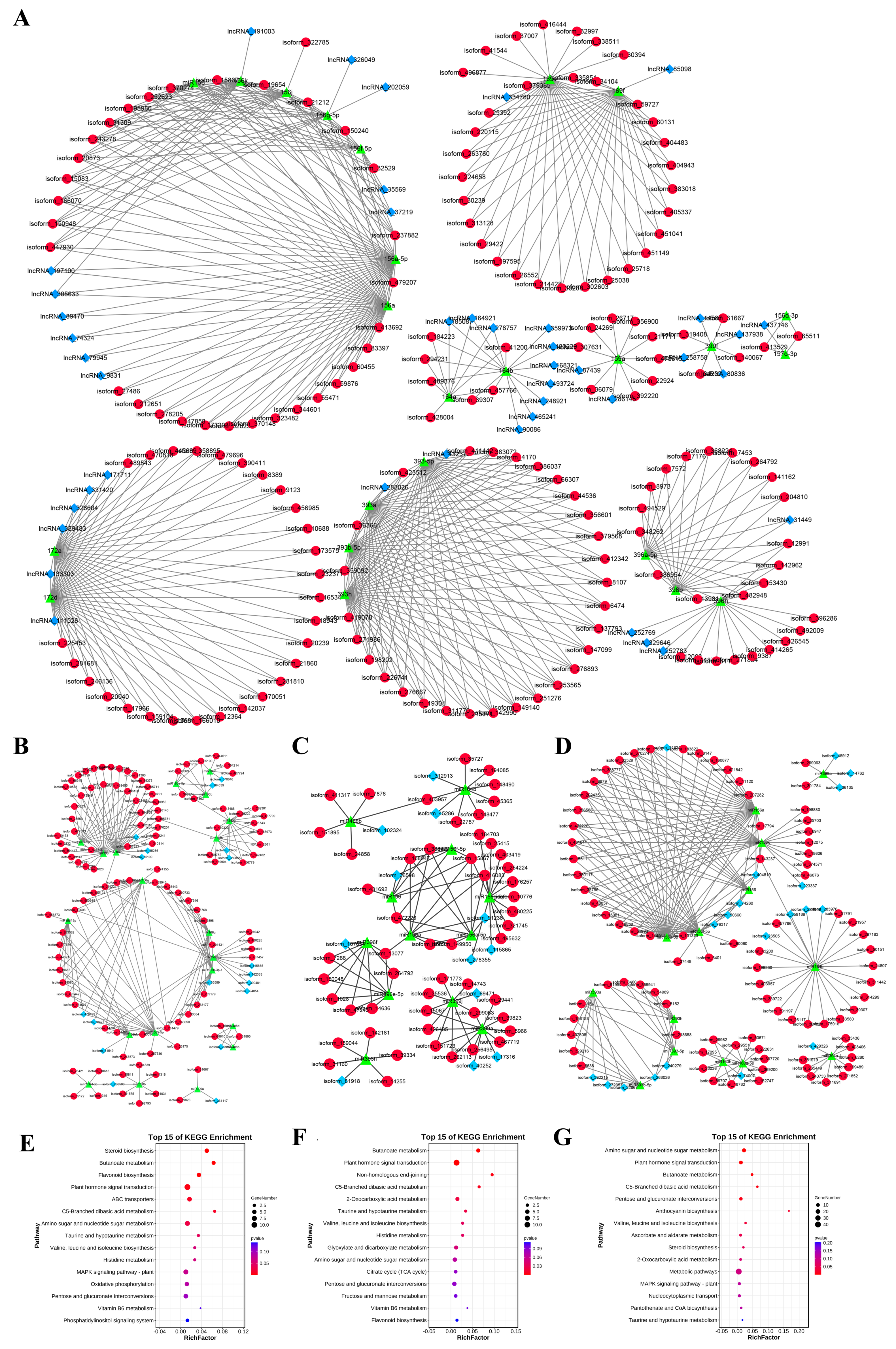 Ijms 24 05311 g009 Ijms 24 05311 g009