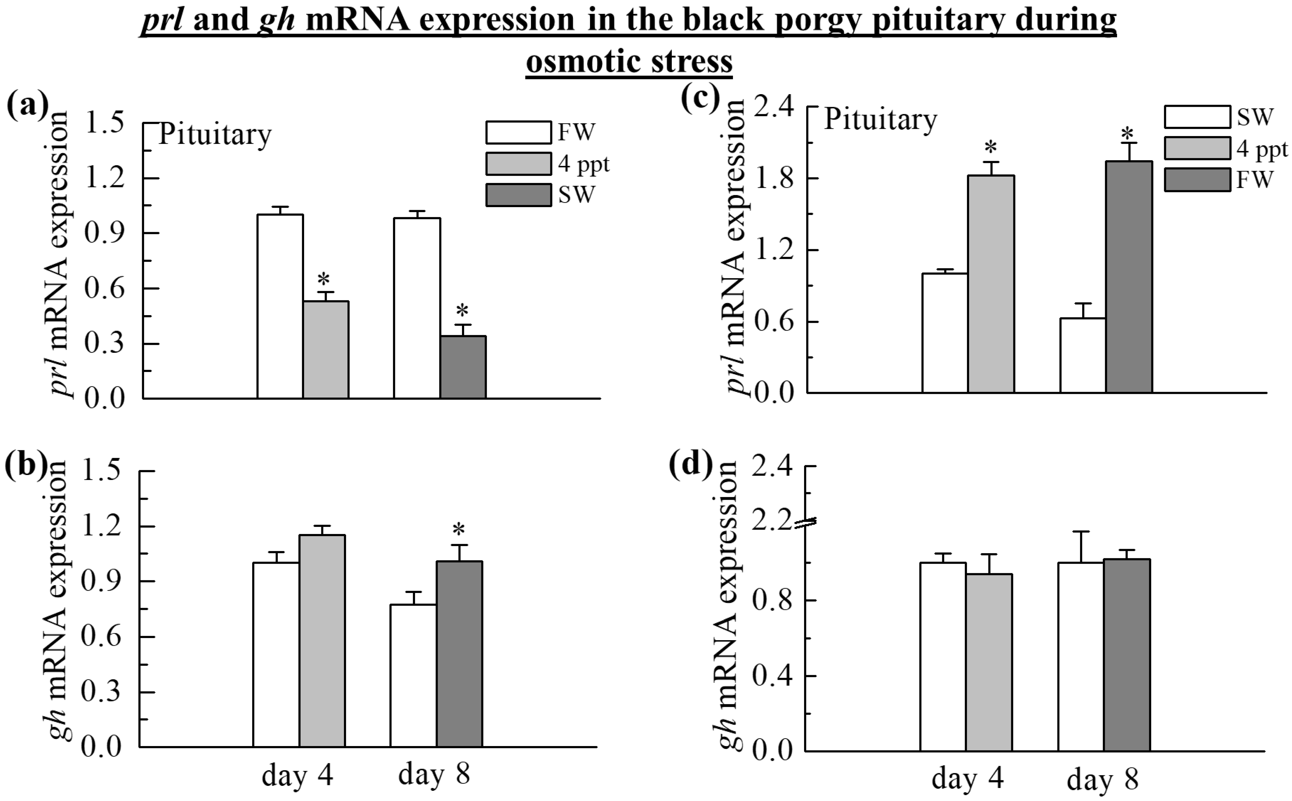 Ijms 24 05318 g002 Ijms 24 05318 g002