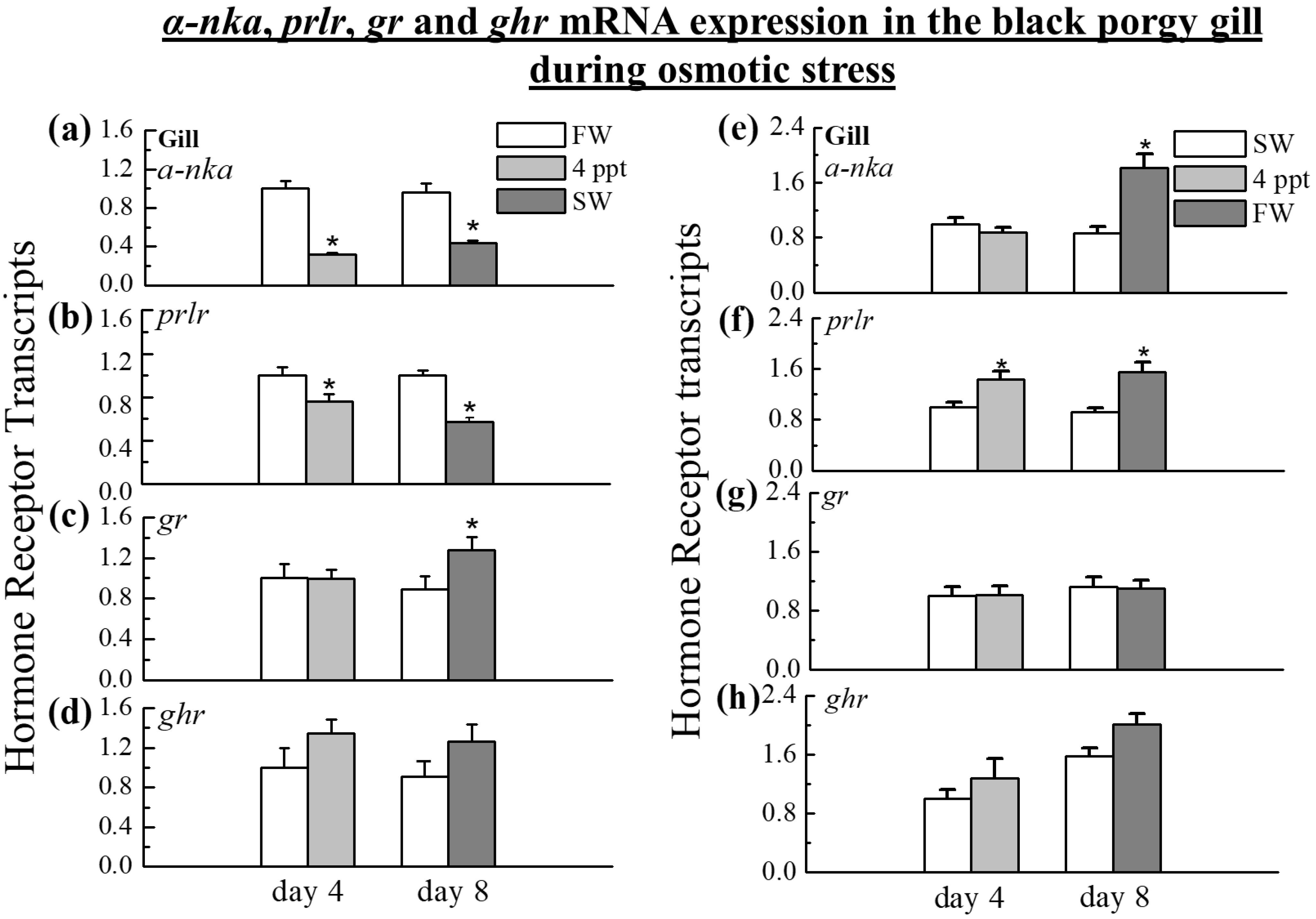 Ijms 24 05318 g003 Ijms 24 05318 g003