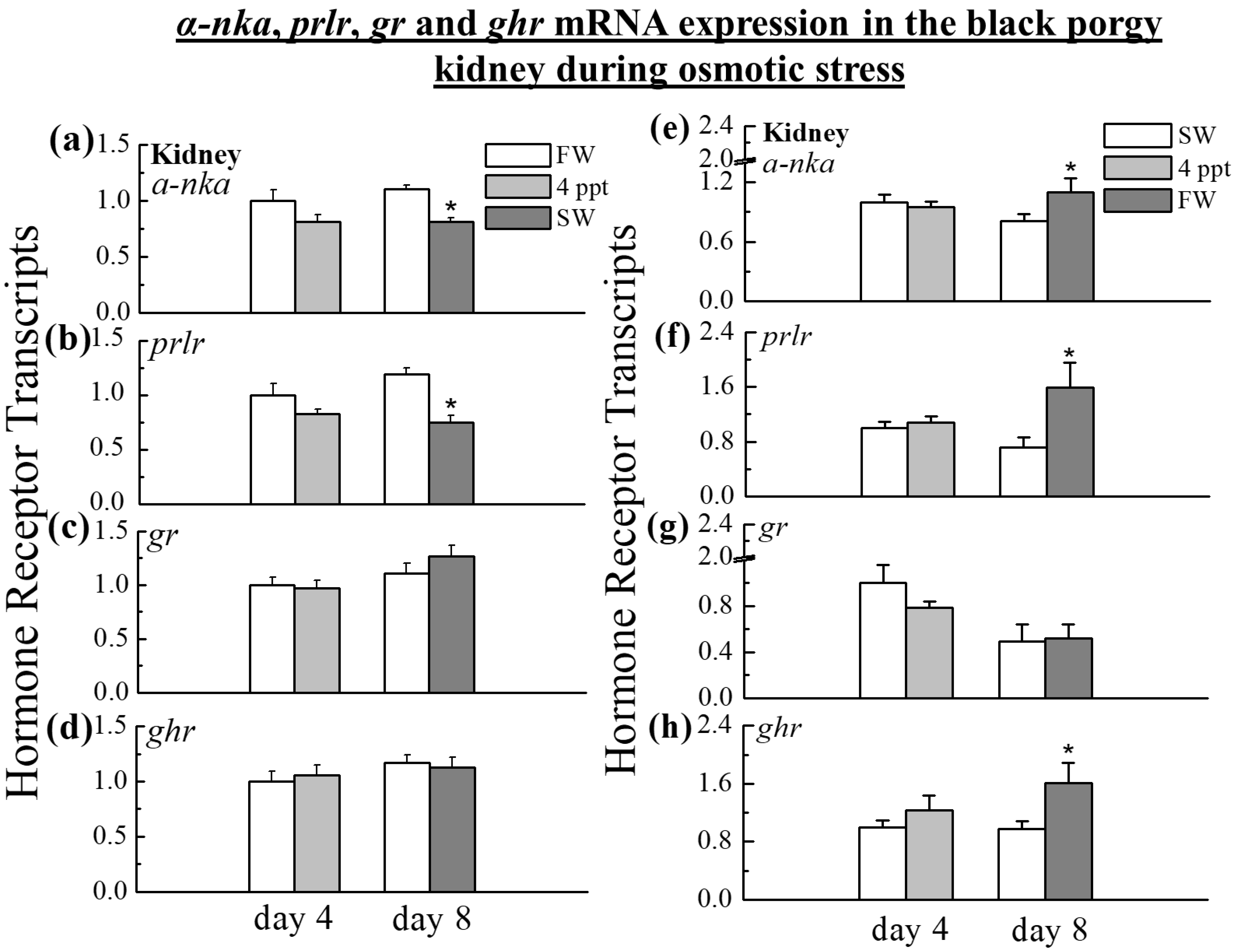 Ijms 24 05318 g005 Ijms 24 05318 g005