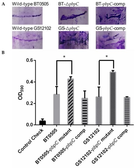 https://www.mdpi.com/ijms/ijms-24-05324/article_deploy/html/images/ijms-24-05324-g003-550.jpg