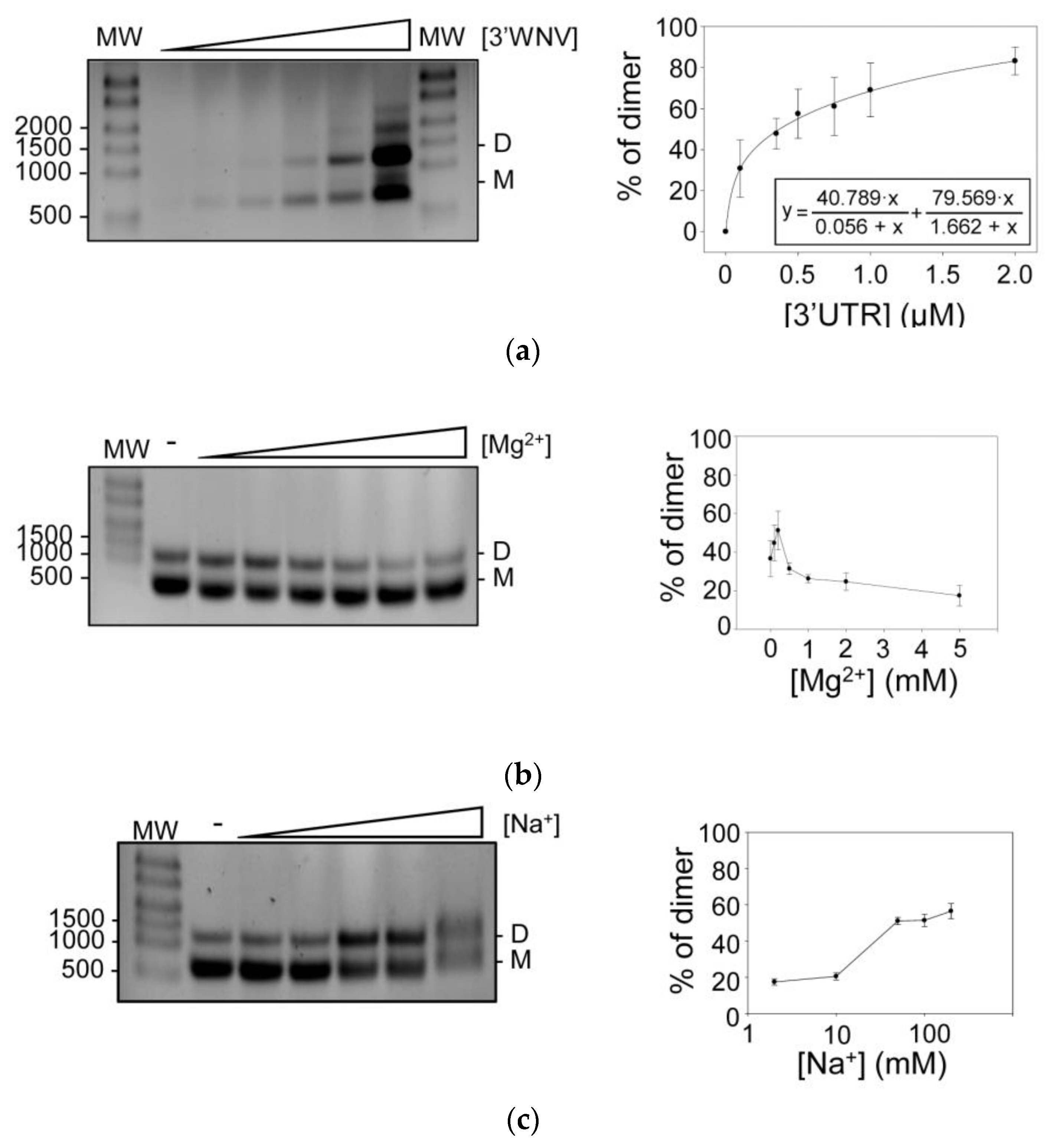 Ijms 24 05337 g002 Ijms 24 05337 g002