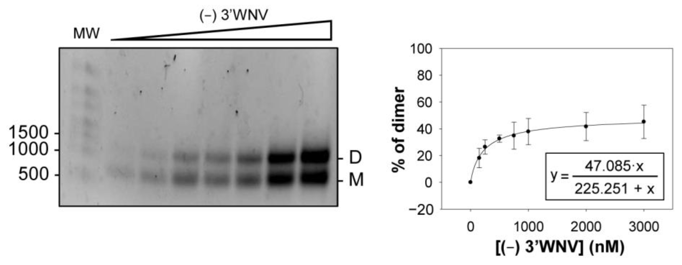 Ijms 24 05337 g006 Ijms 24 05337 g006