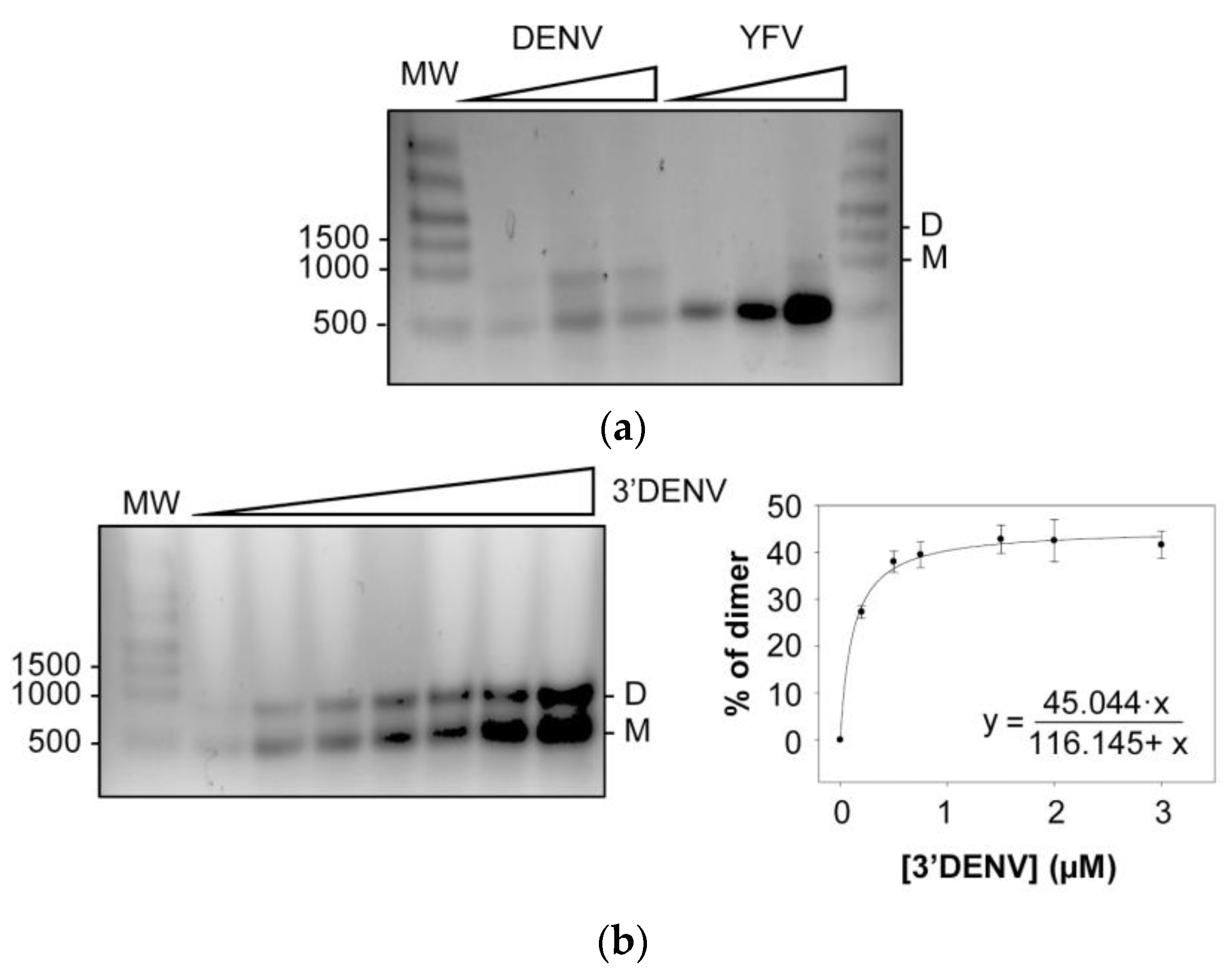 Ijms 24 05337 g008 Ijms 24 05337 g008