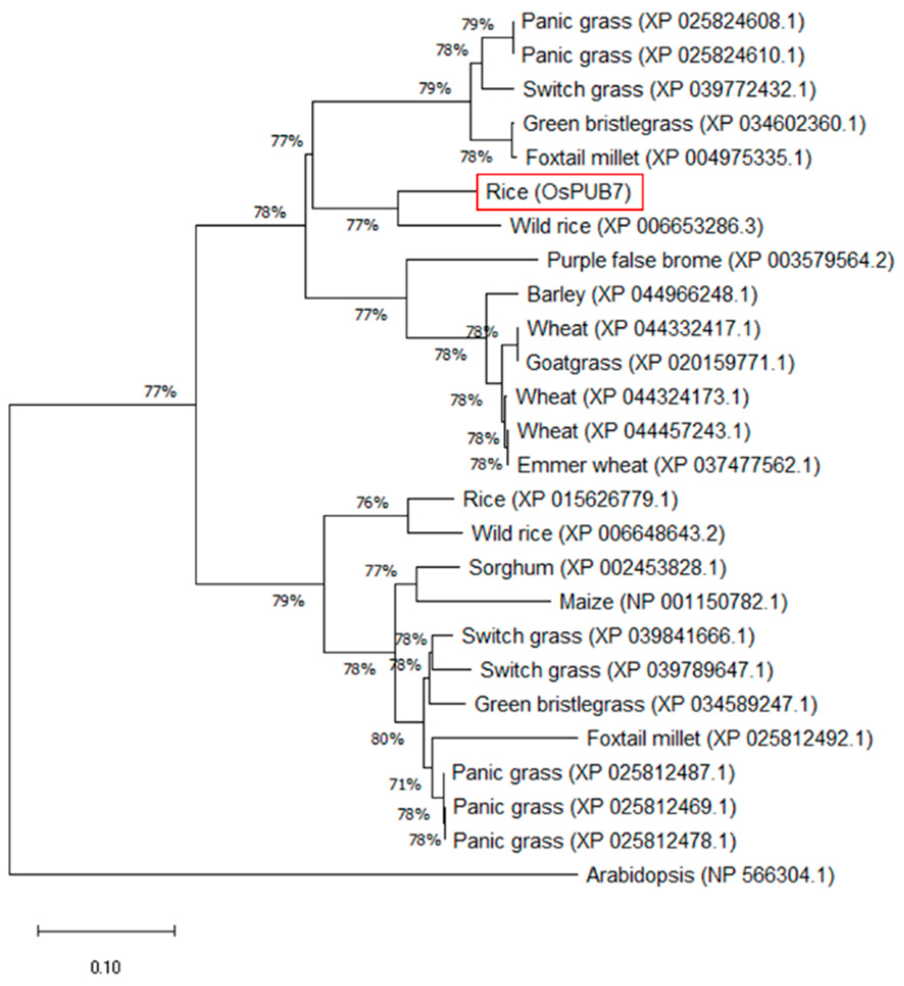 Ijms 24 05338 g001 Ijms 24 05338 g001