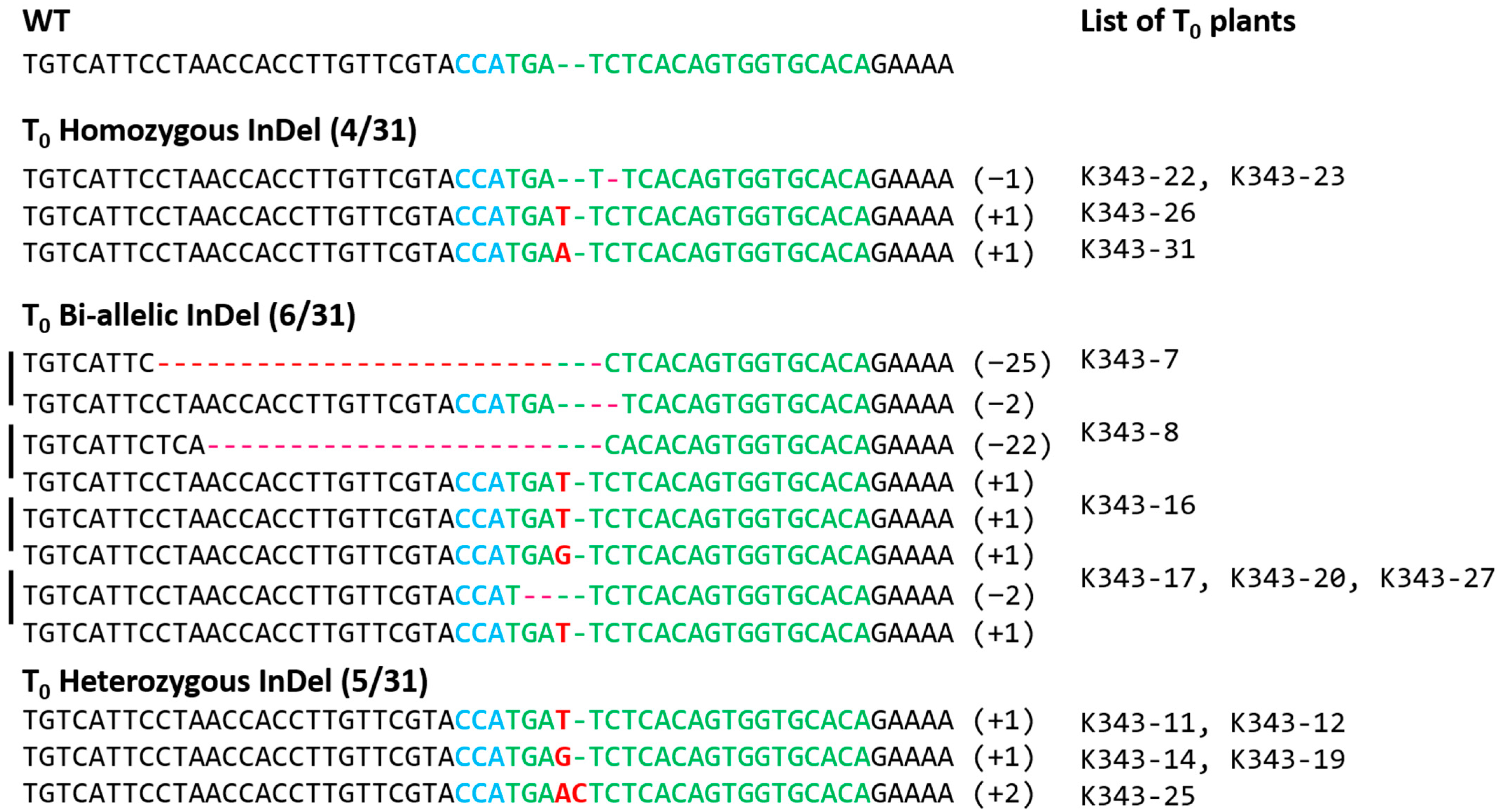 Ijms 24 05338 g004 Ijms 24 05338 g004