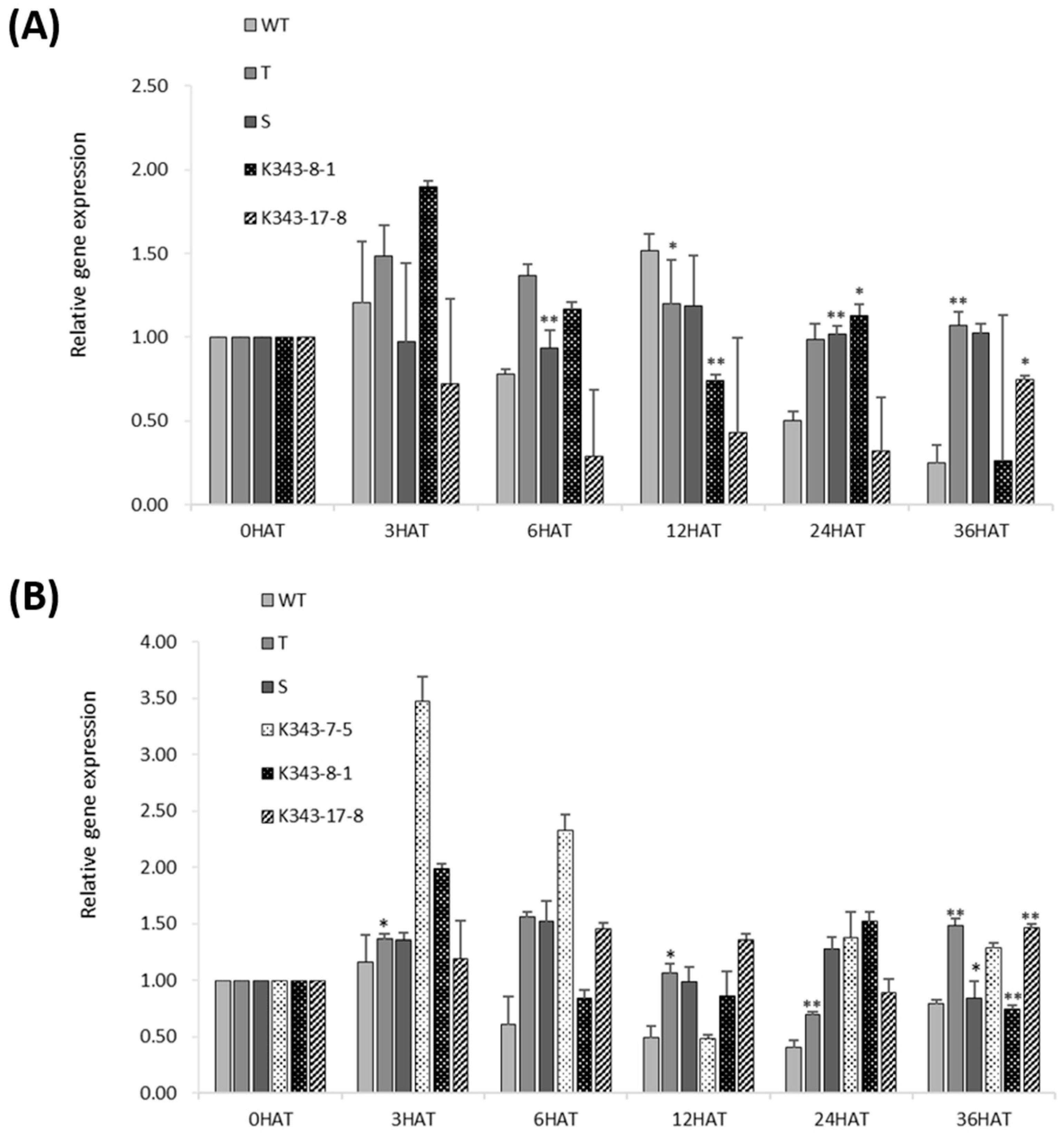 Ijms 24 05338 g008 Ijms 24 05338 g008