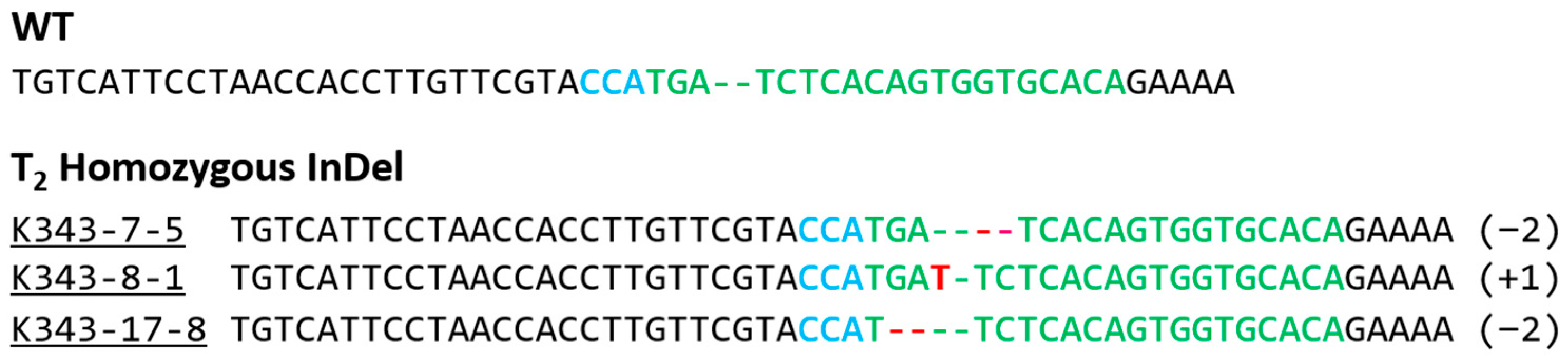 Ijms 24 05338 g009 Ijms 24 05338 g009