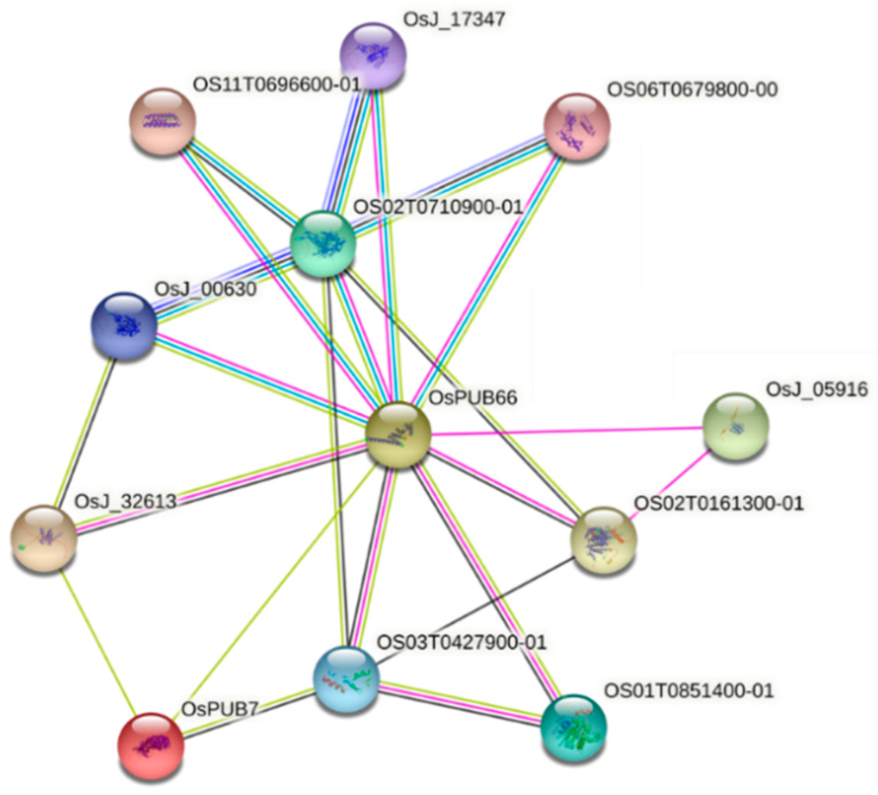 Ijms 24 05338 g013 Ijms 24 05338 g013