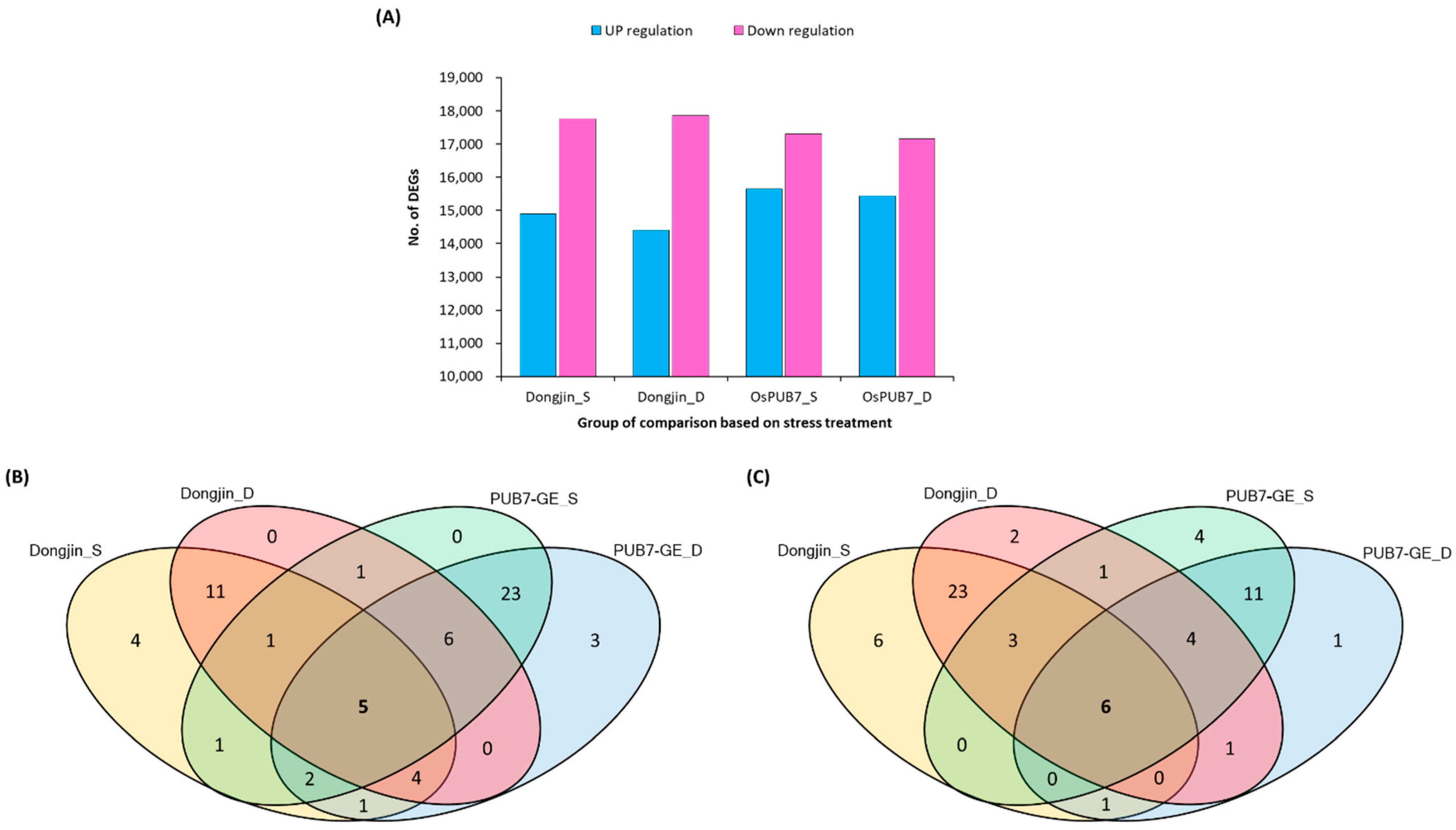 Ijms 24 05338 g014 Ijms 24 05338 g014