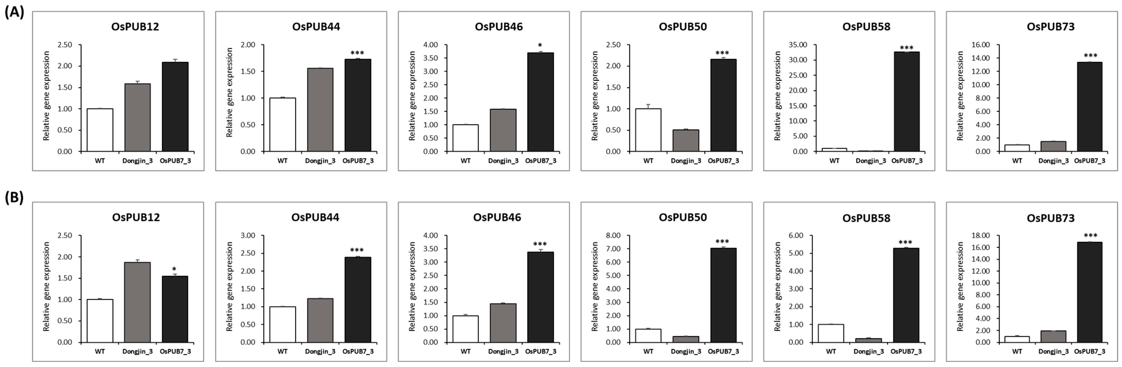 Ijms 24 05338 g015 Ijms 24 05338 g015