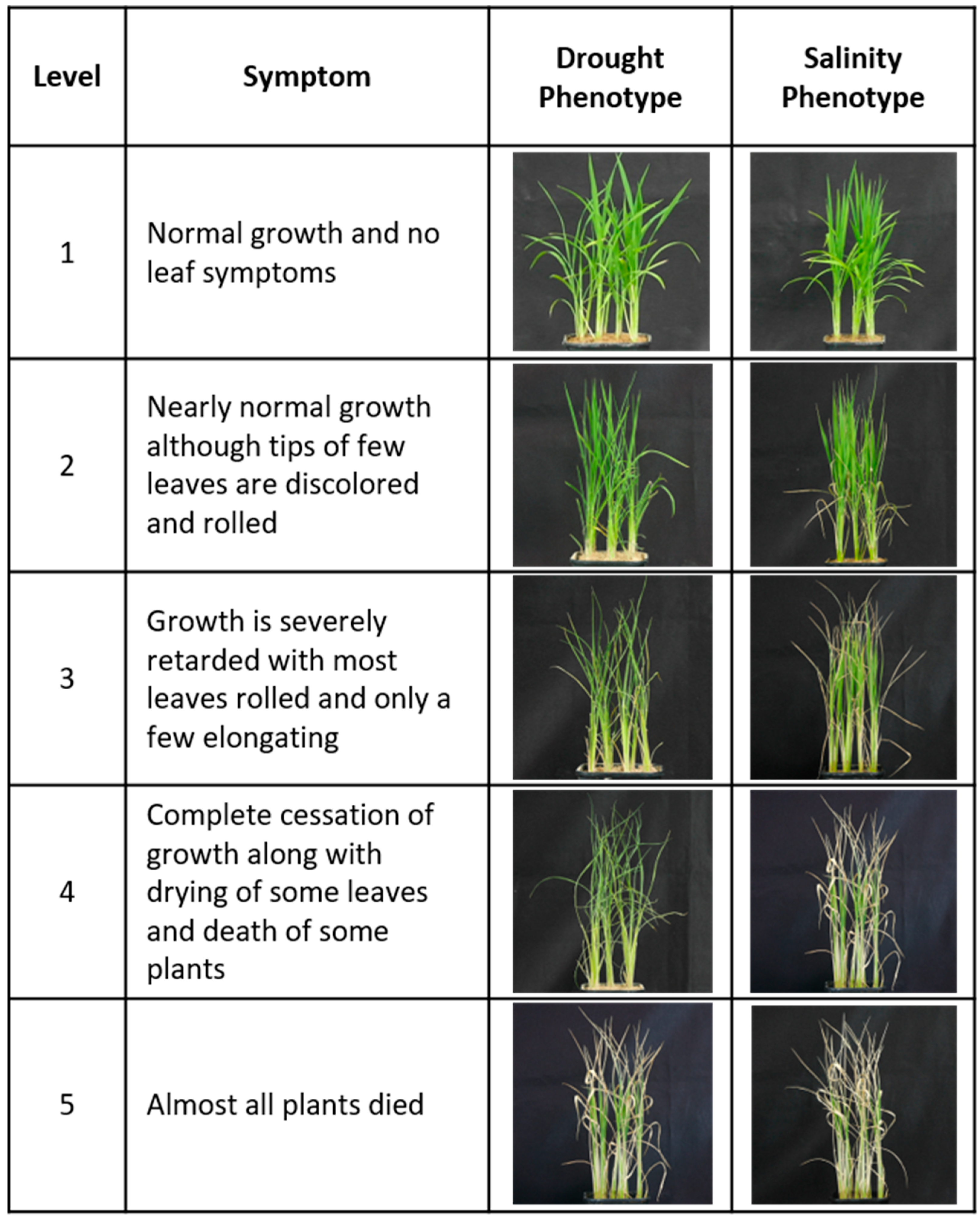 Ijms 24 05338 g017 Ijms 24 05338 g017