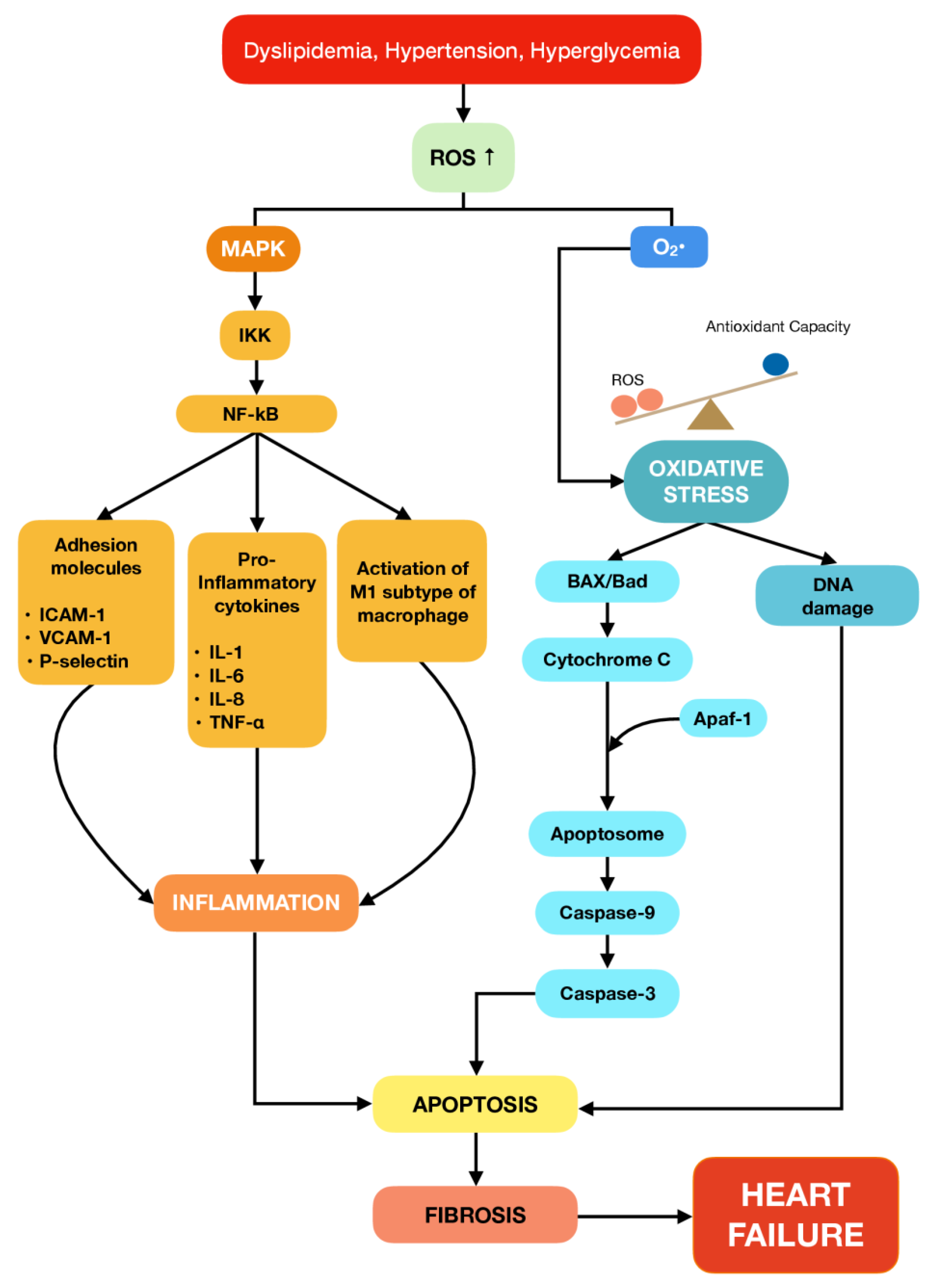 IJMS Free Full Text Role of Terpenophenolics in Modulating