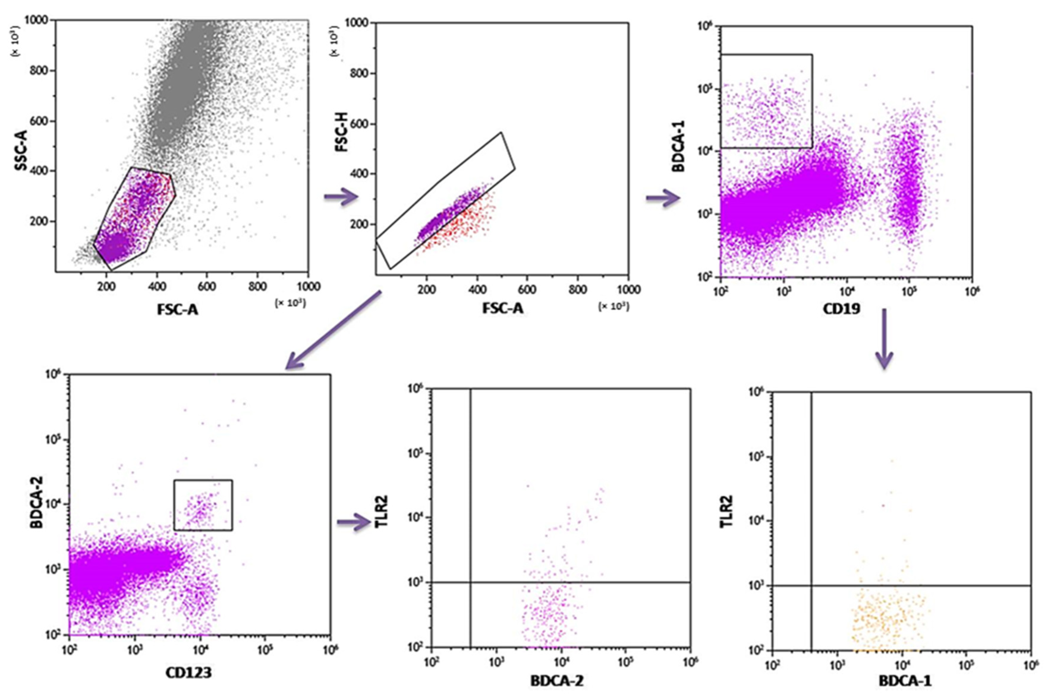 Ijms 24 05344 g003 Ijms 24 05344 g003