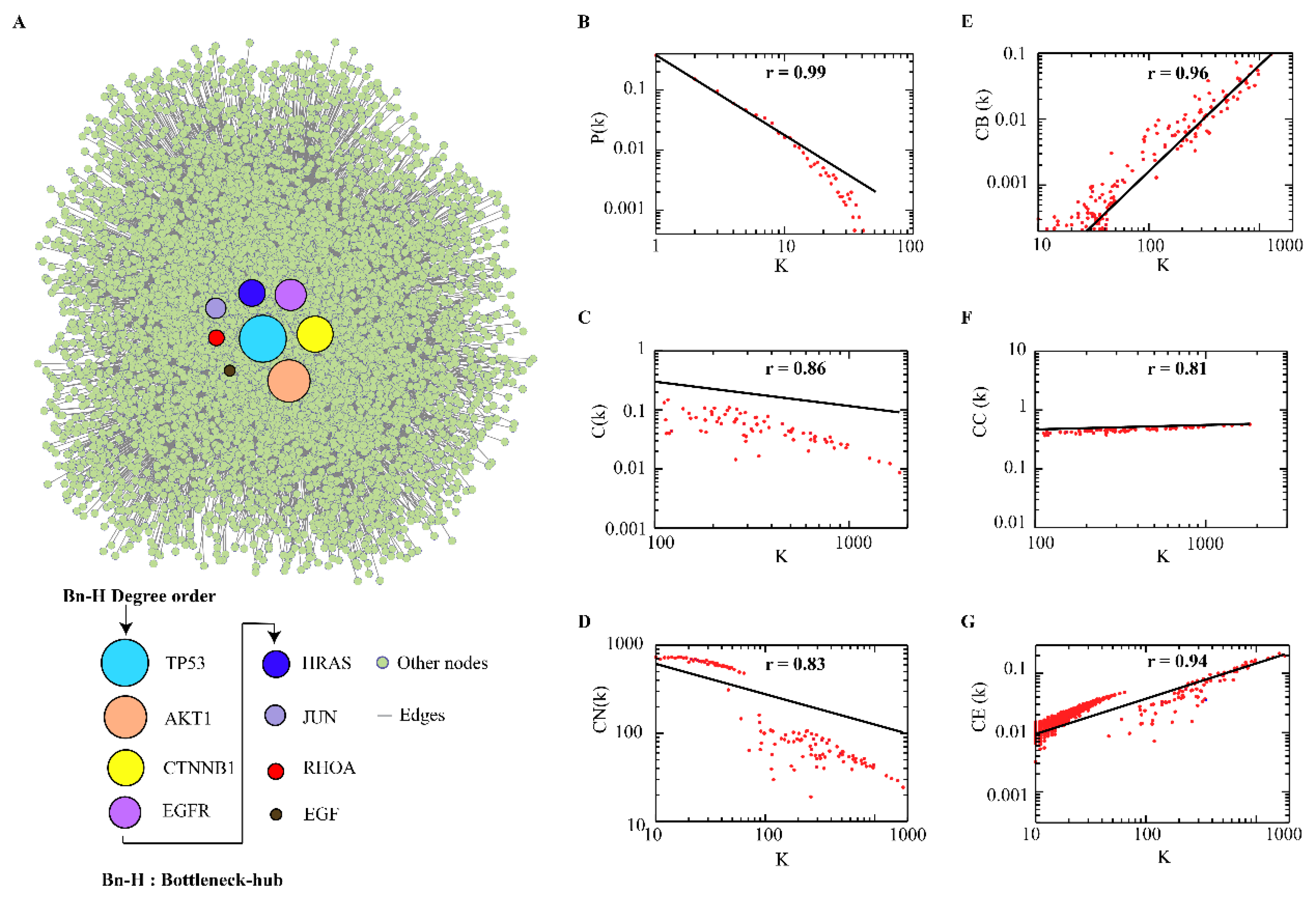 Ijms 24 05356 g001 Ijms 24 05356 g001