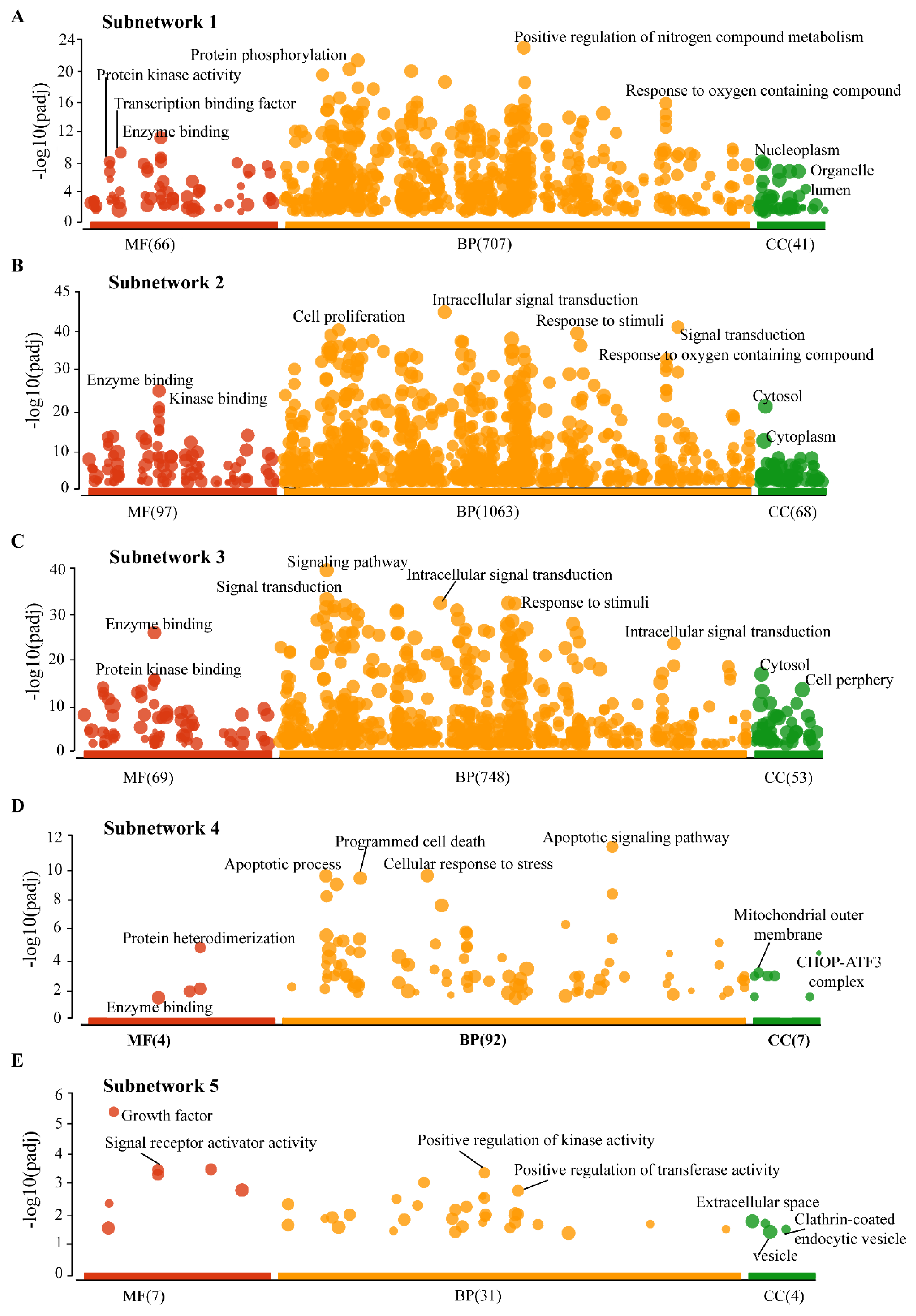 Ijms 24 05356 g004 Ijms 24 05356 g004