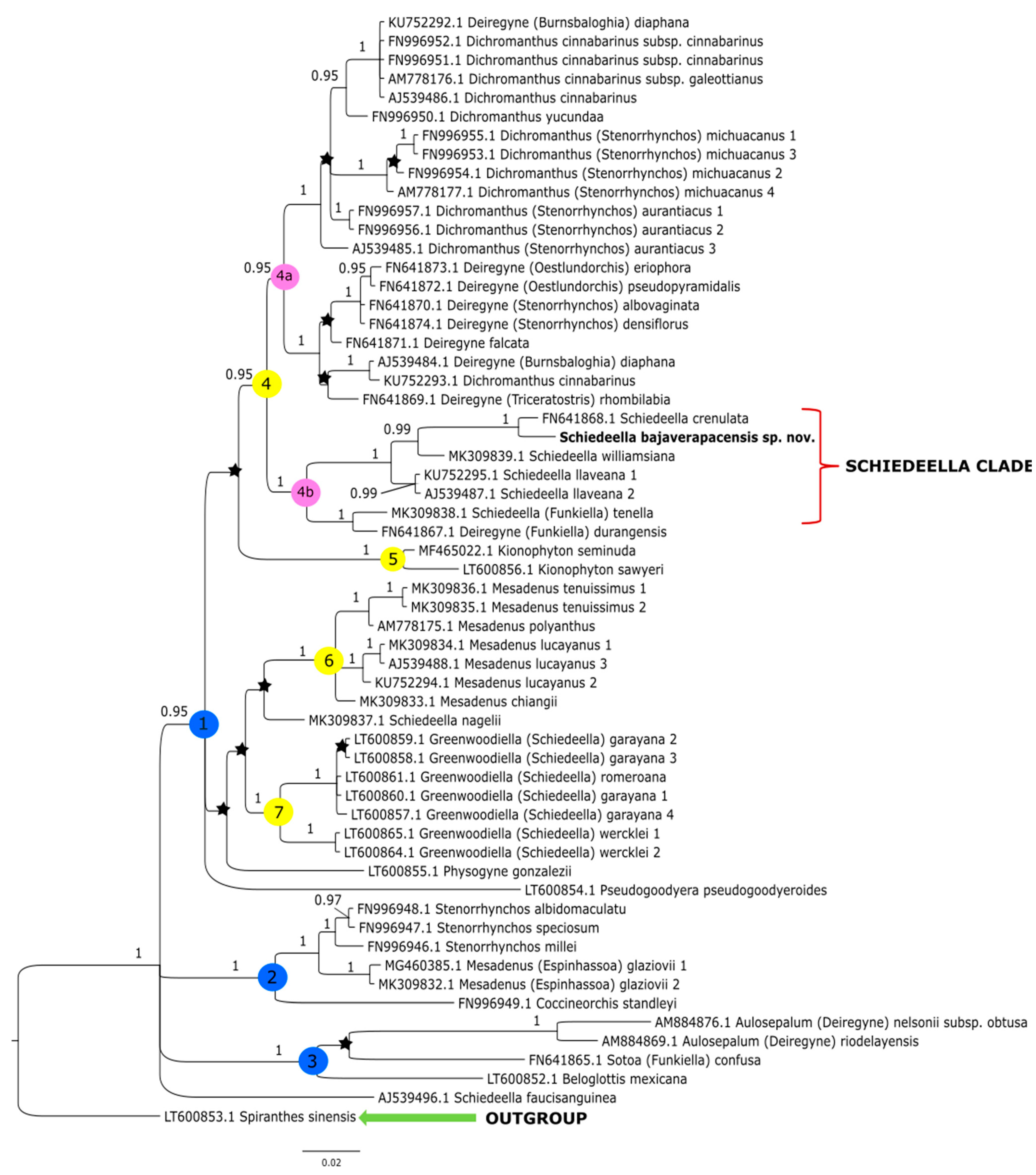 Ijms 24 05362 g002 Ijms 24 05362 g002