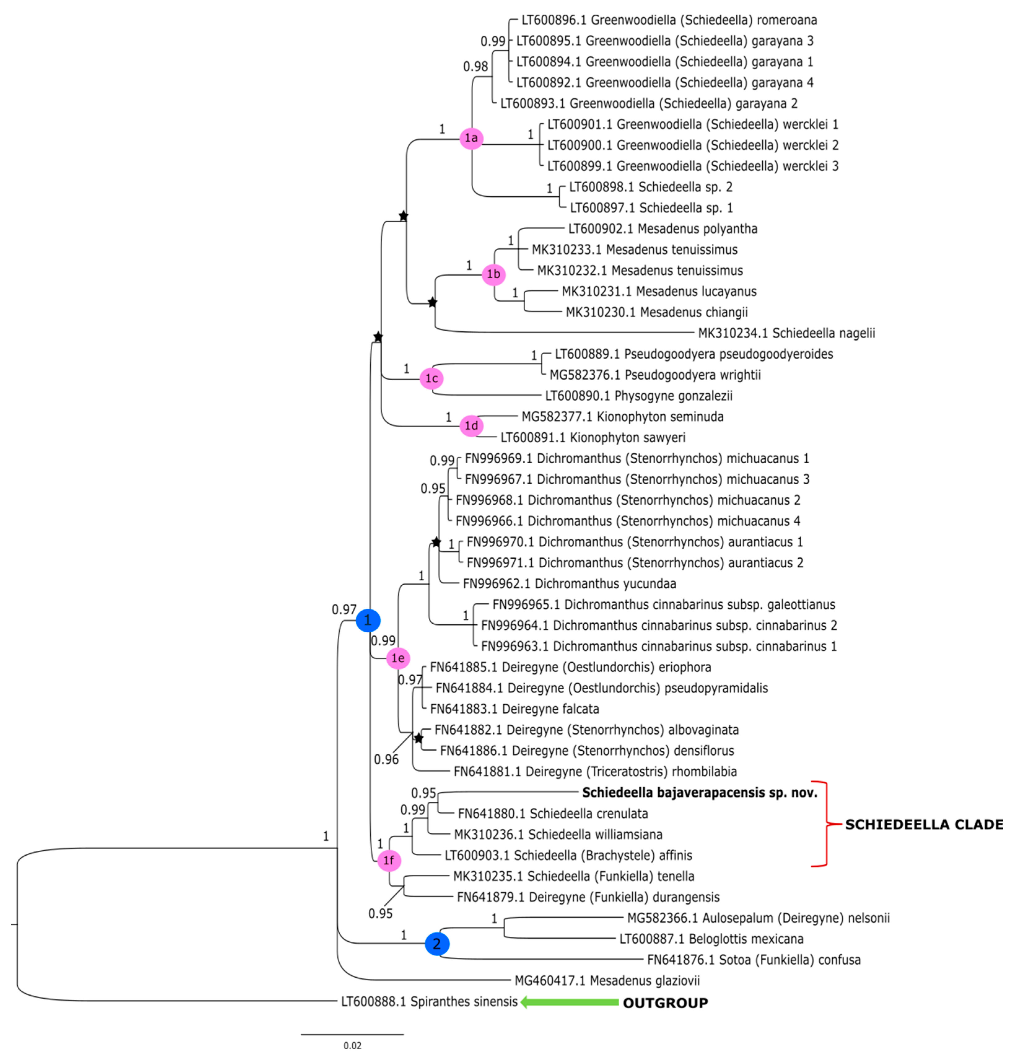 Ijms 24 05362 g003 Ijms 24 05362 g003