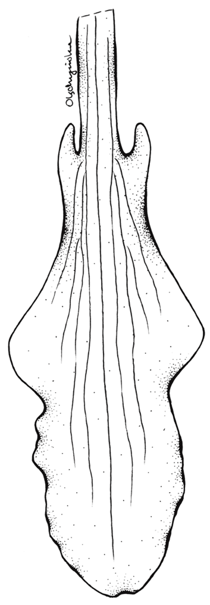 Ijms 24 05362 g007 Ijms 24 05362 g007