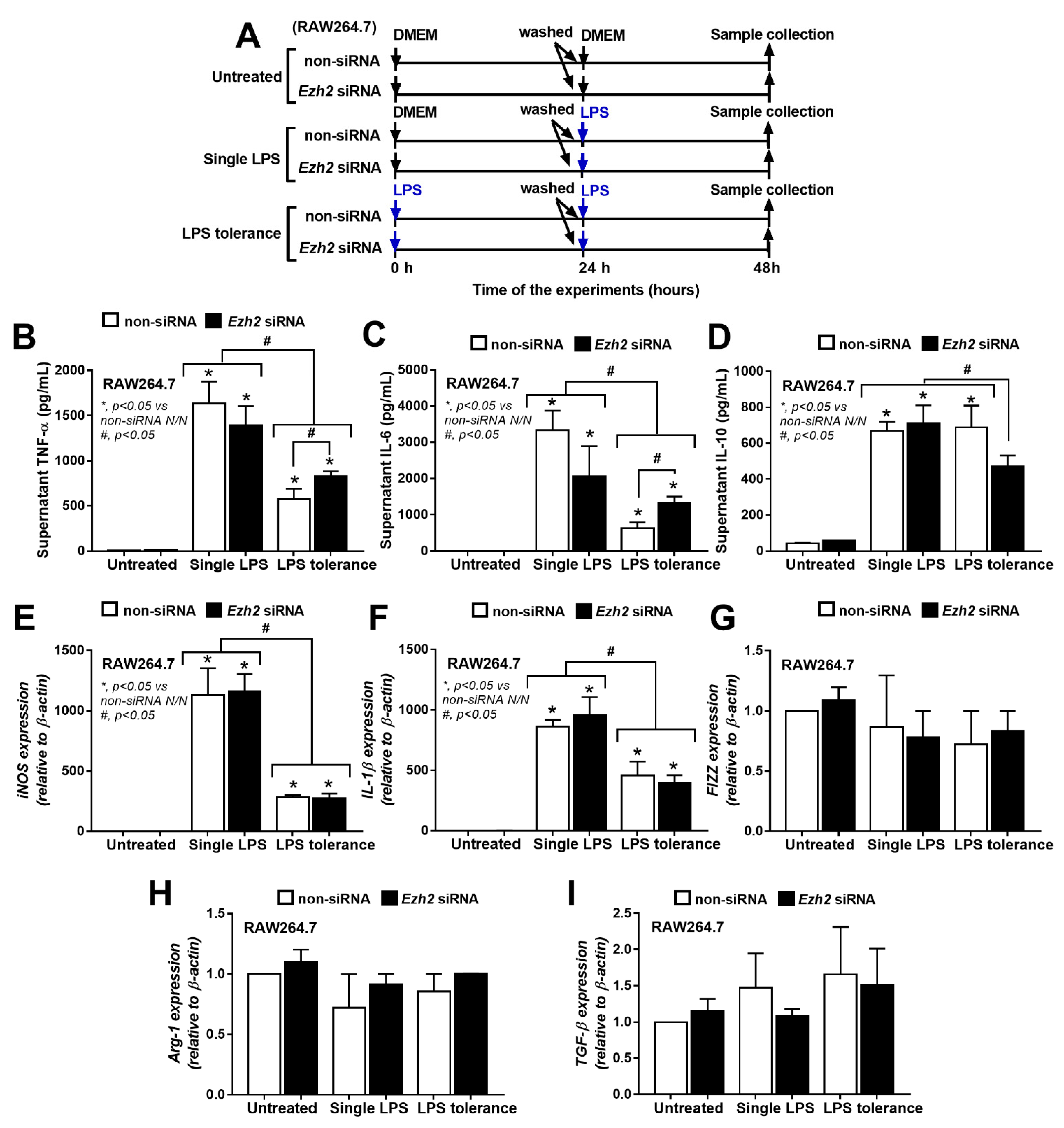 Ijms 24 05363 g002 Ijms 24 05363 g002