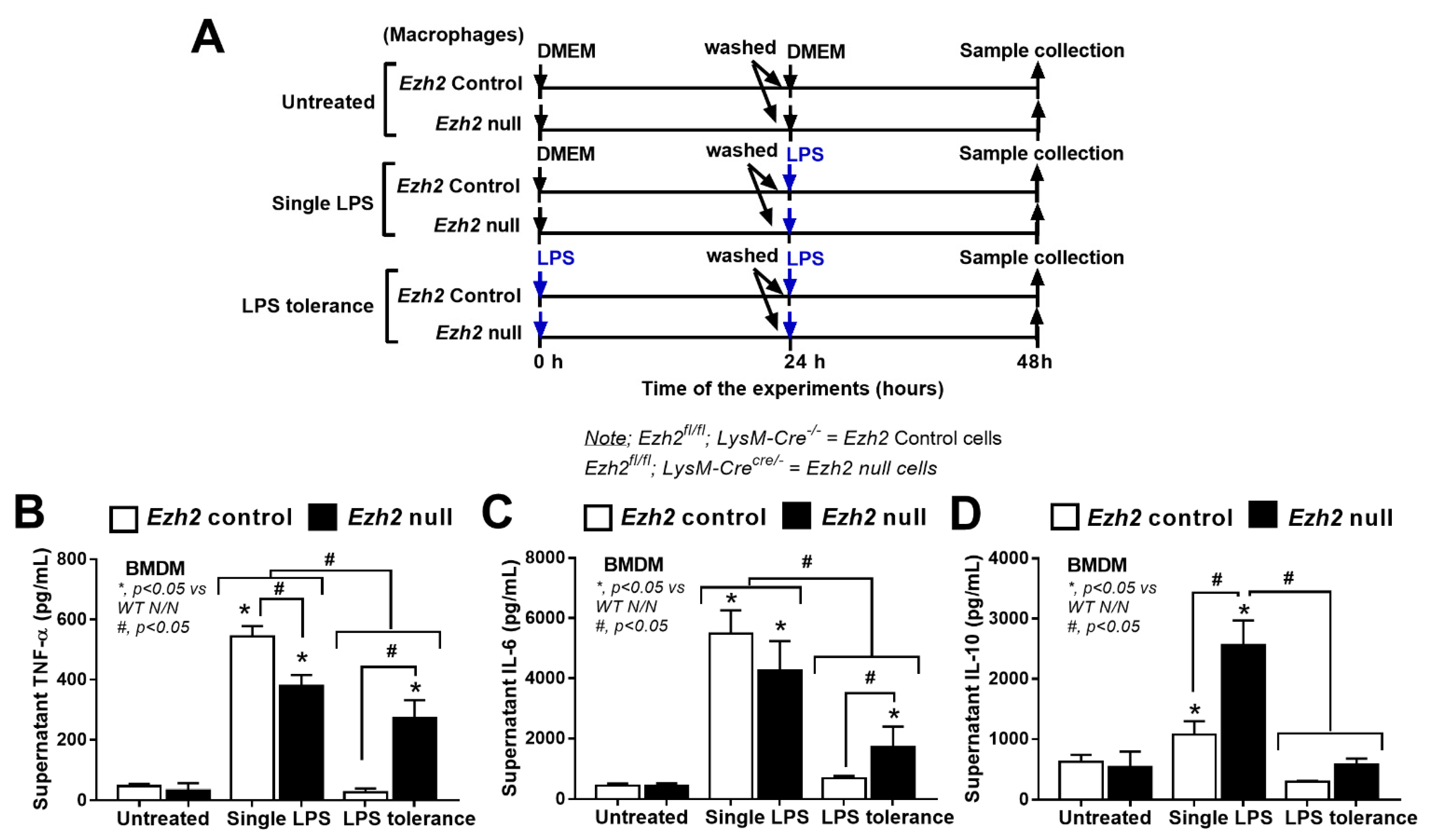 Ijms 24 05363 g003 Ijms 24 05363 g003