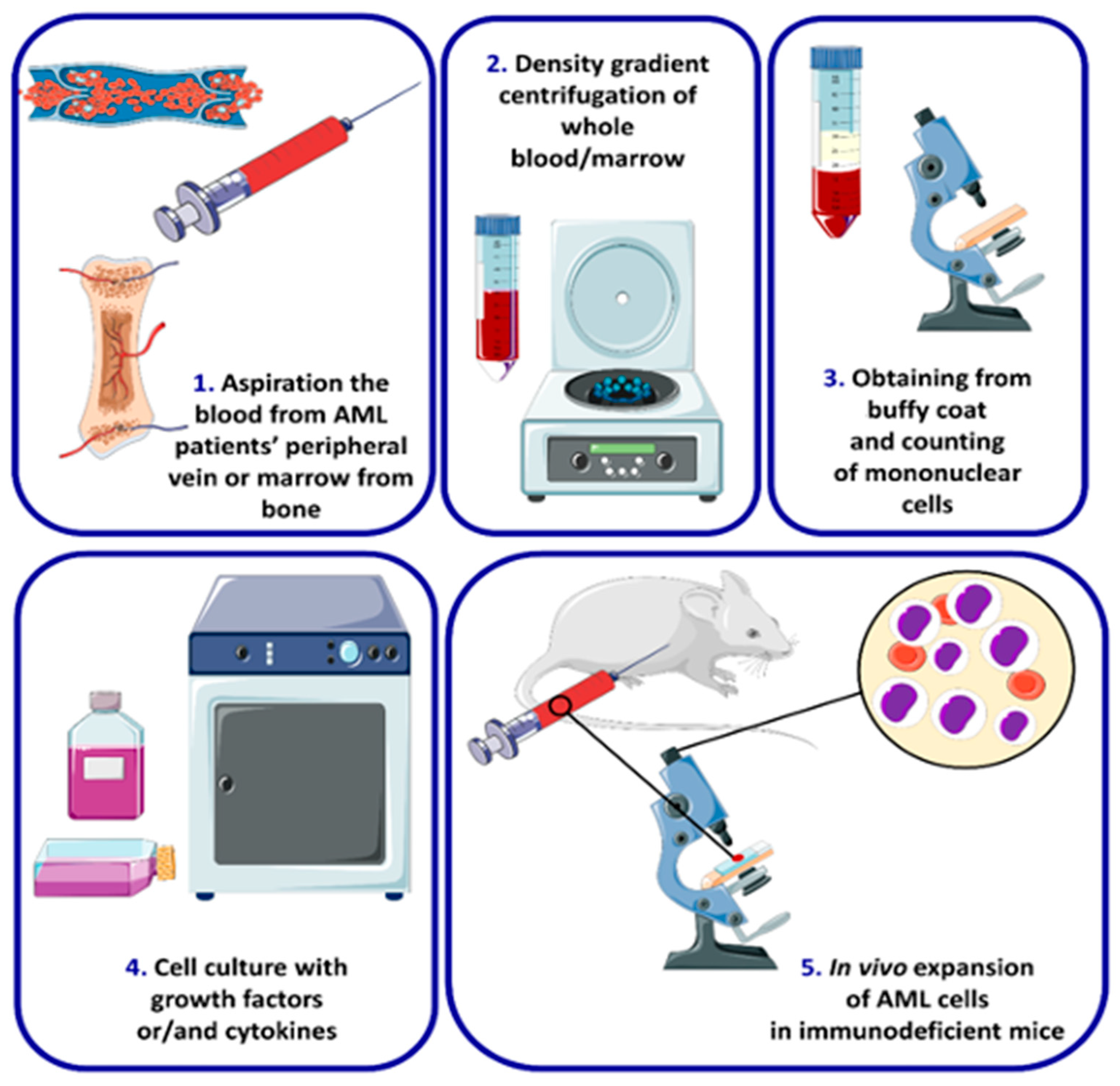 Ijms 24 05377 g003 Ijms 24 05377 g003