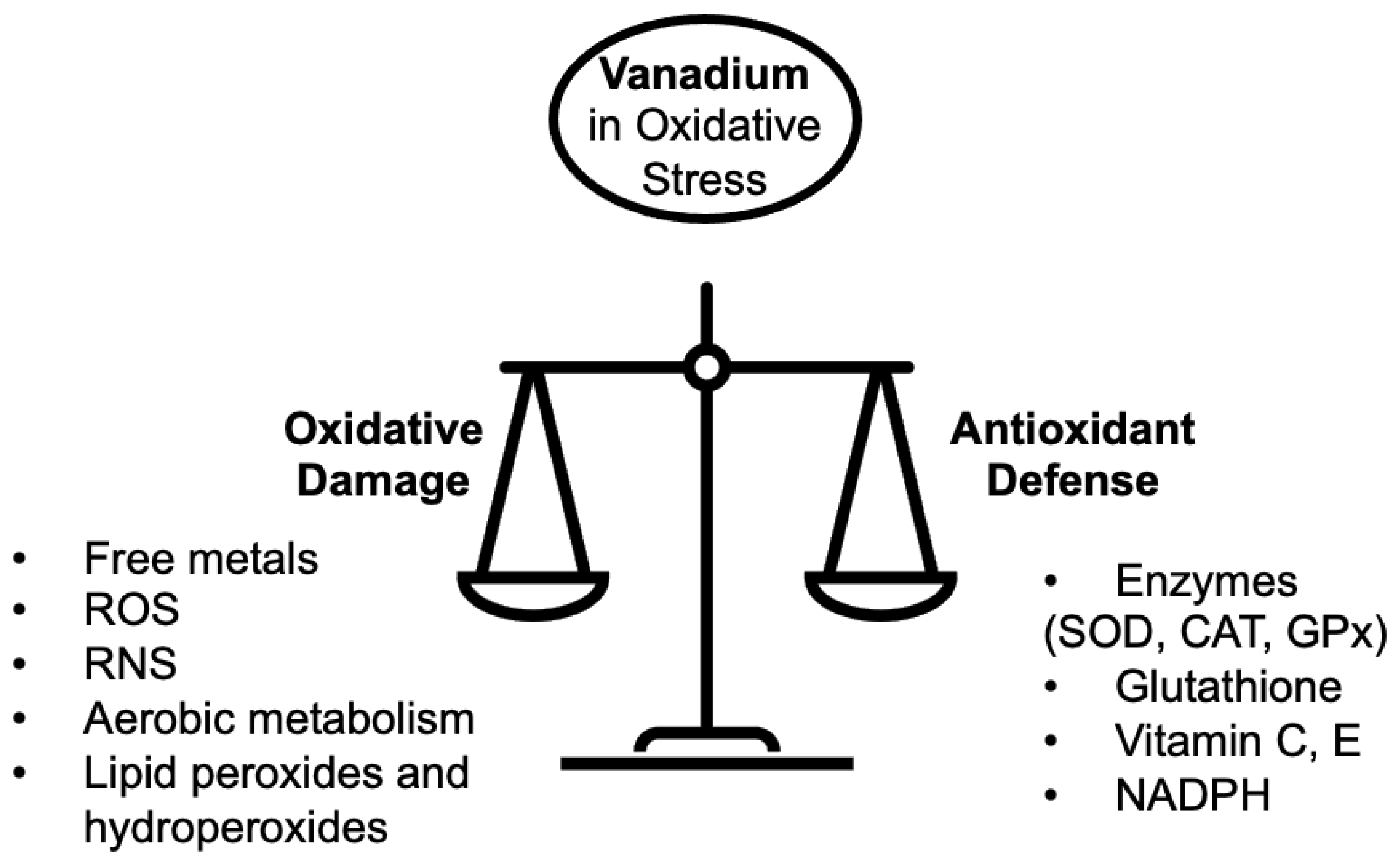 Ijms 24 05382 g002 Ijms 24 05382 g002