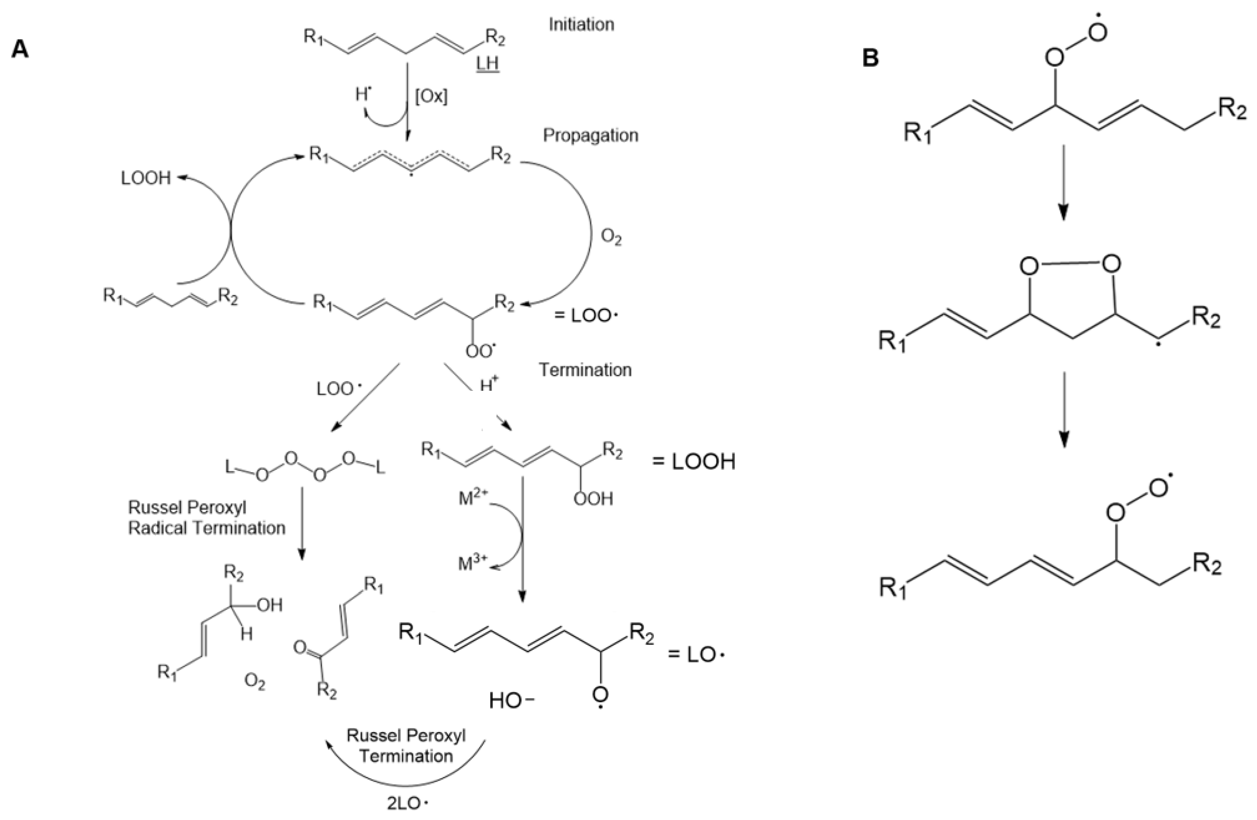 Ijms 24 05382 g004 Ijms 24 05382 g004