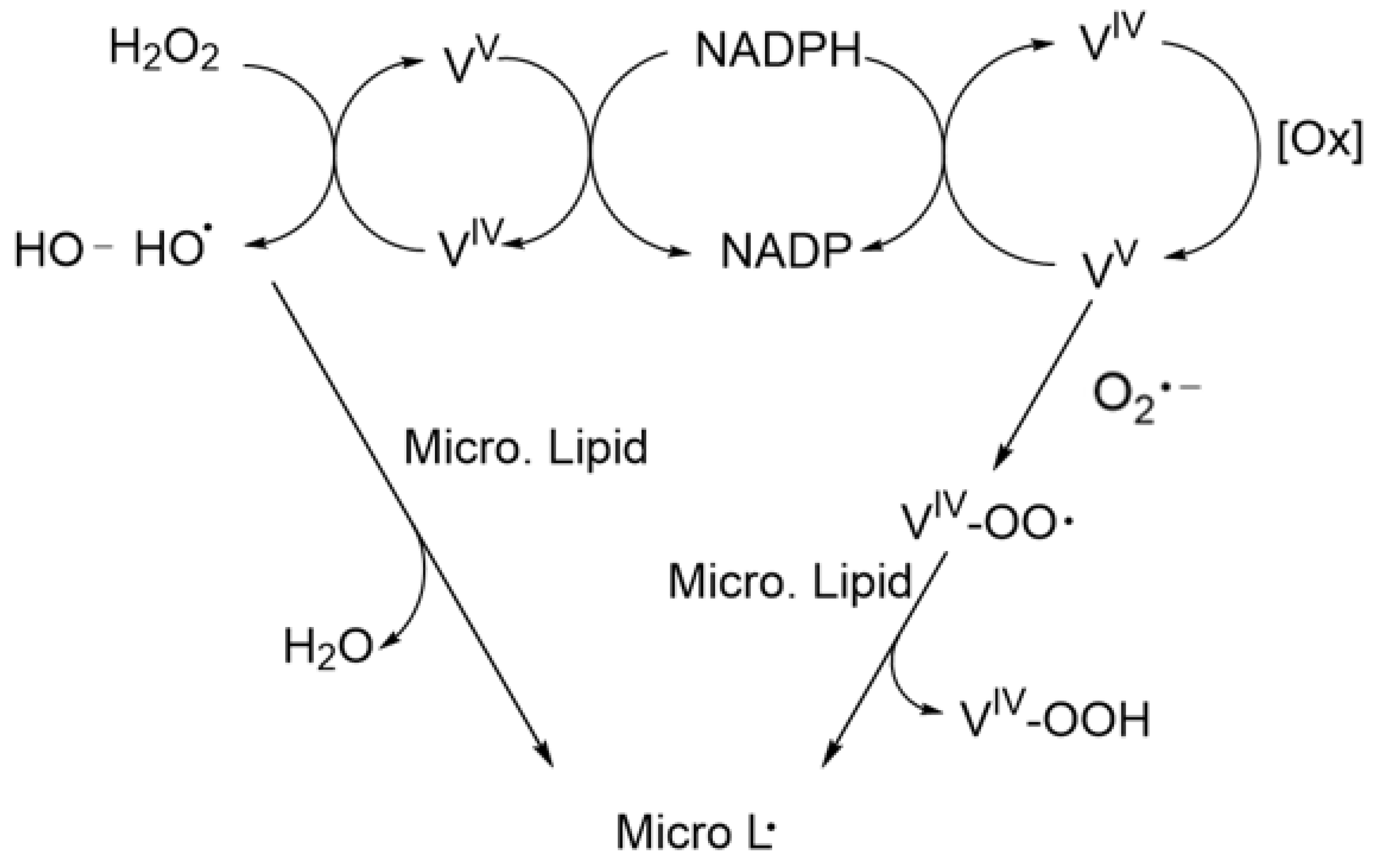 Ijms 24 05382 g010 Ijms 24 05382 g010