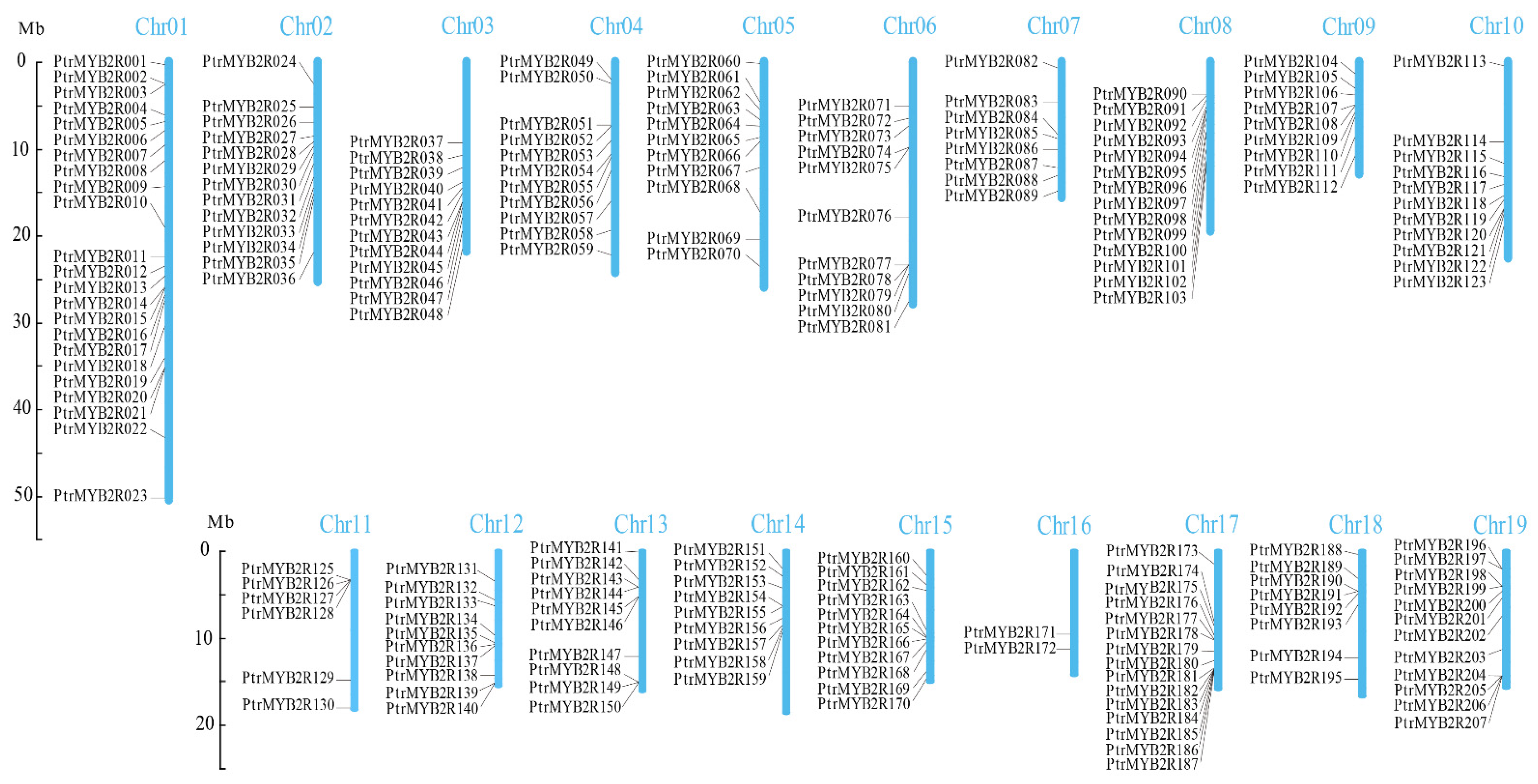 Ijms 24 05389 g002 Ijms 24 05389 g002