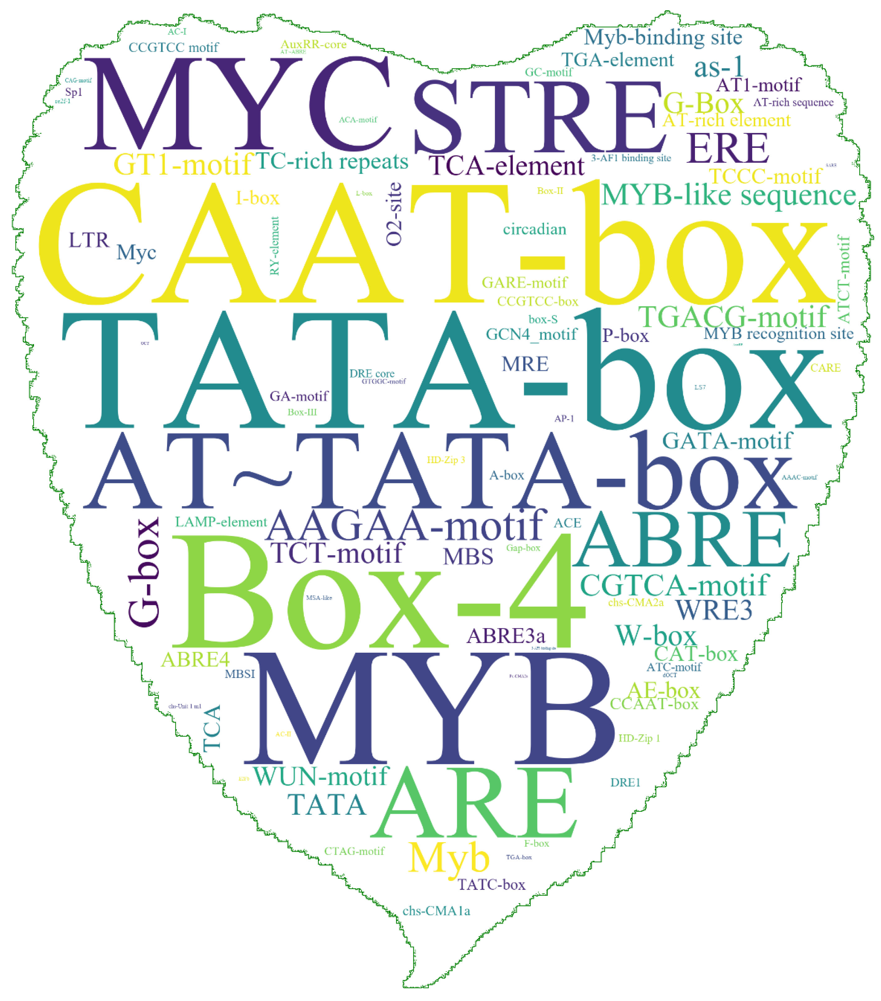 Ijms 24 05389 g003 Ijms 24 05389 g003