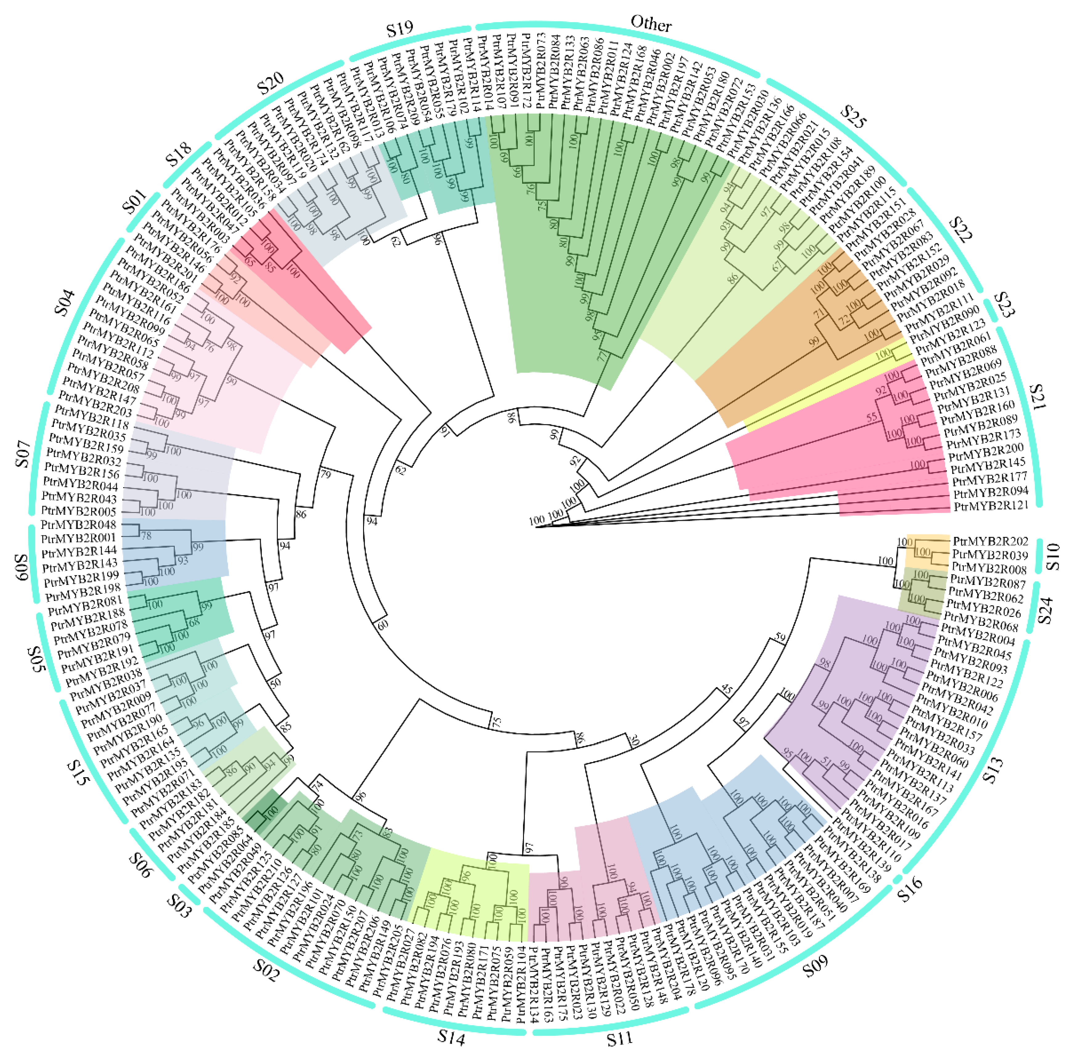 Ijms 24 05389 g004 Ijms 24 05389 g004