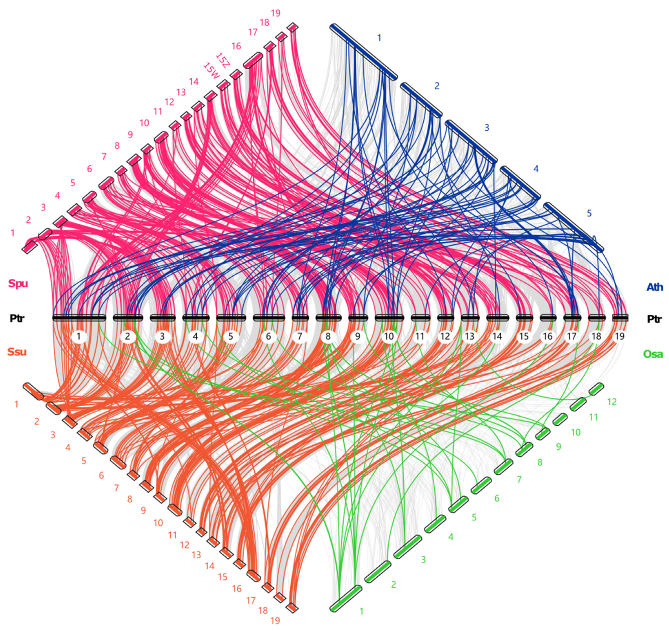 Ijms 24 05389 g006 Ijms 24 05389 g006