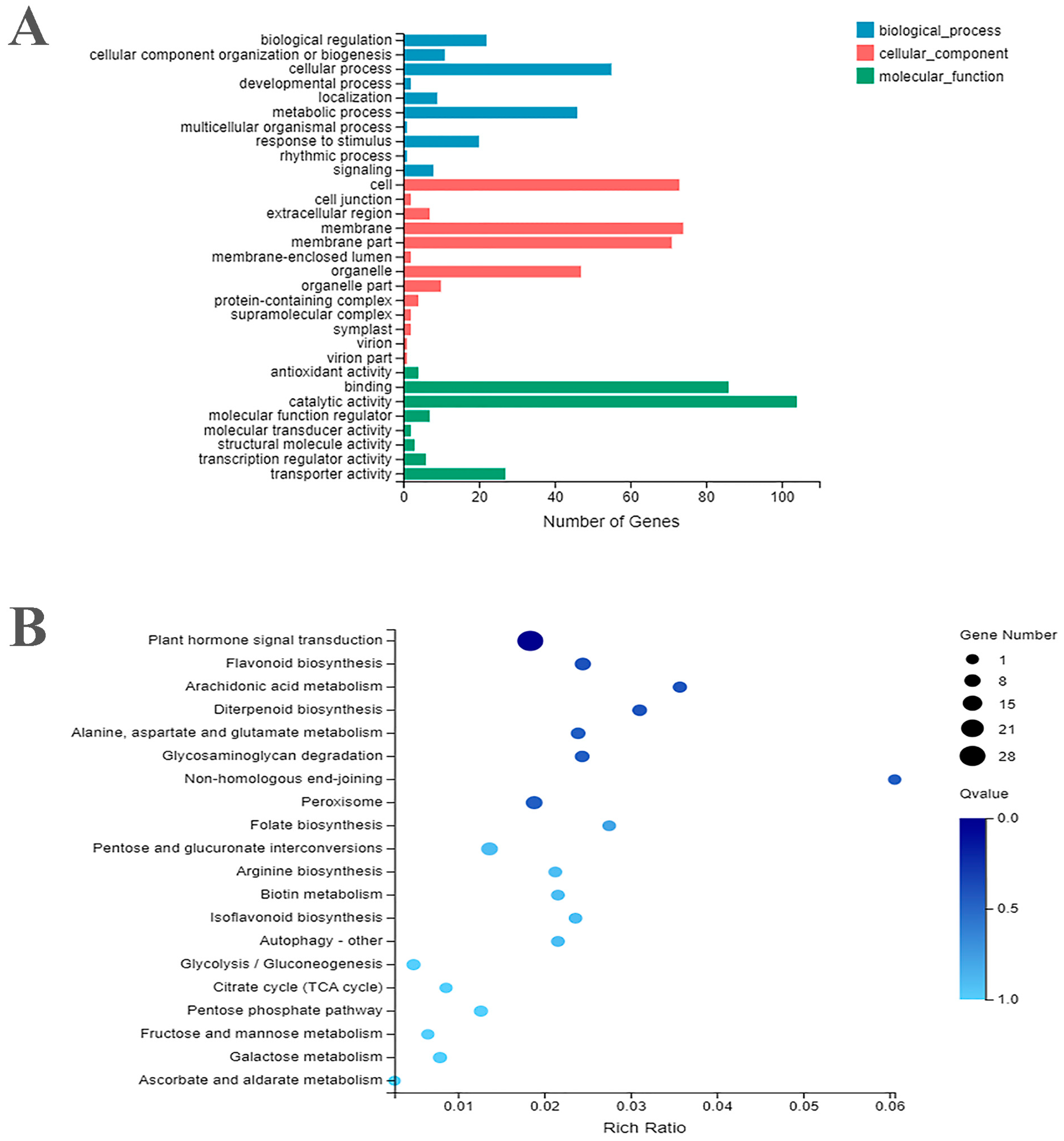 Ijms 24 05393 g002 Ijms 24 05393 g002