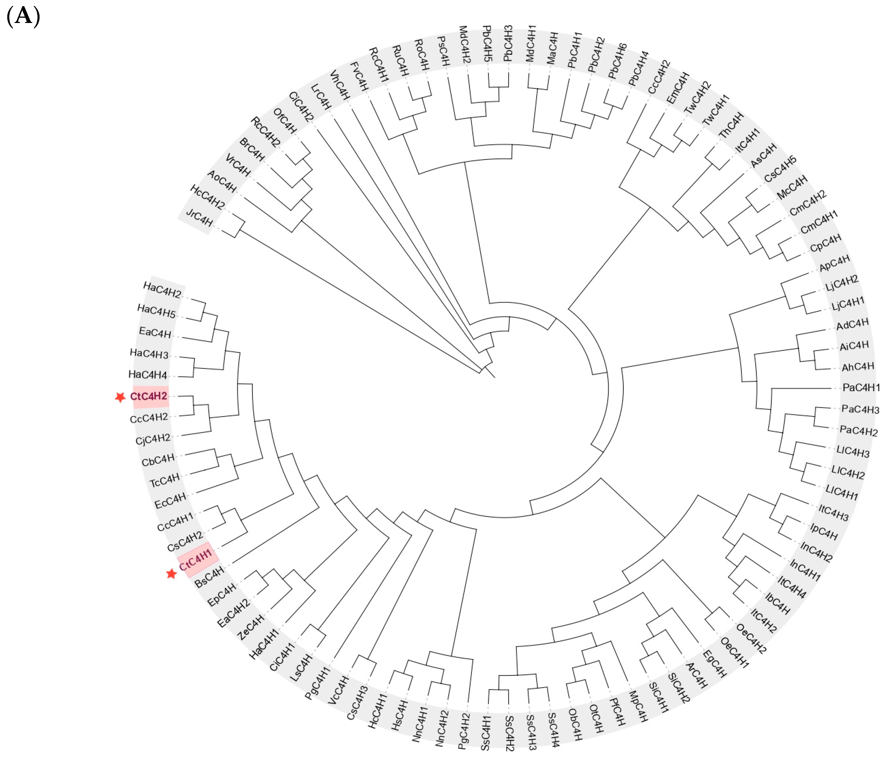 Ijms 24 05393 g003a Ijms 24 05393 g003a