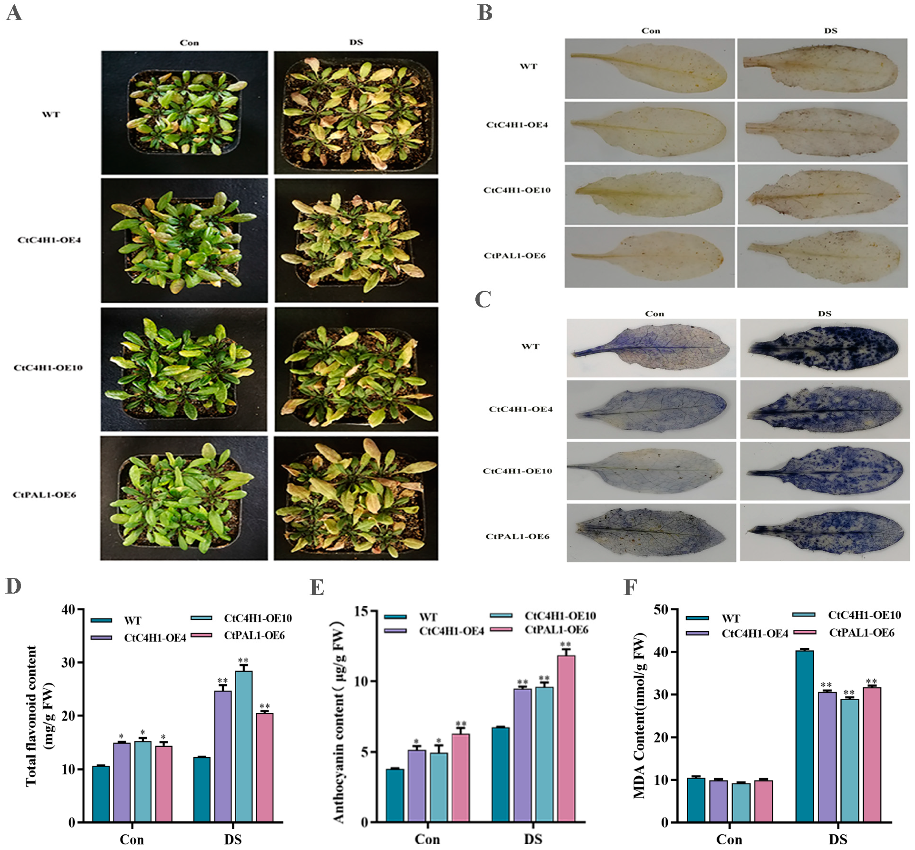 Ijms 24 05393 g008 Ijms 24 05393 g008