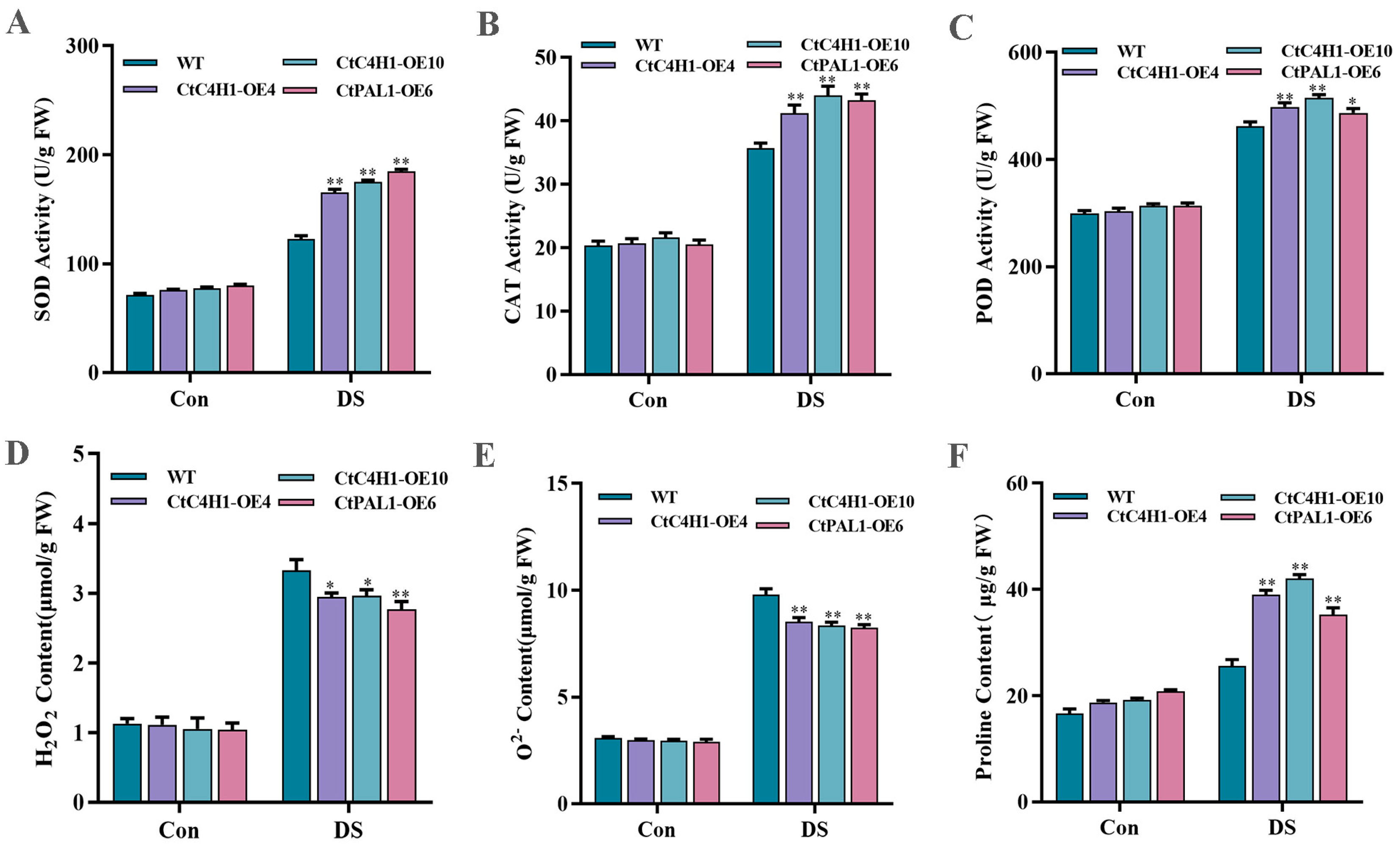 Ijms 24 05393 g009 Ijms 24 05393 g009
