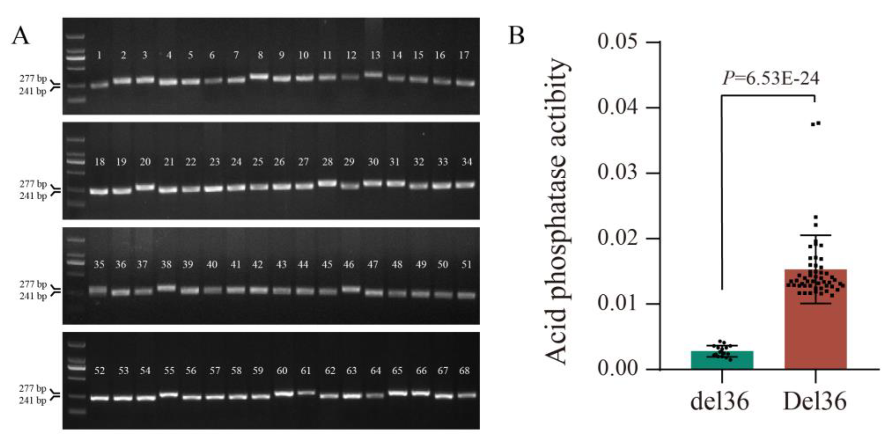 Ijms 24 05398 g006 Ijms 24 05398 g006