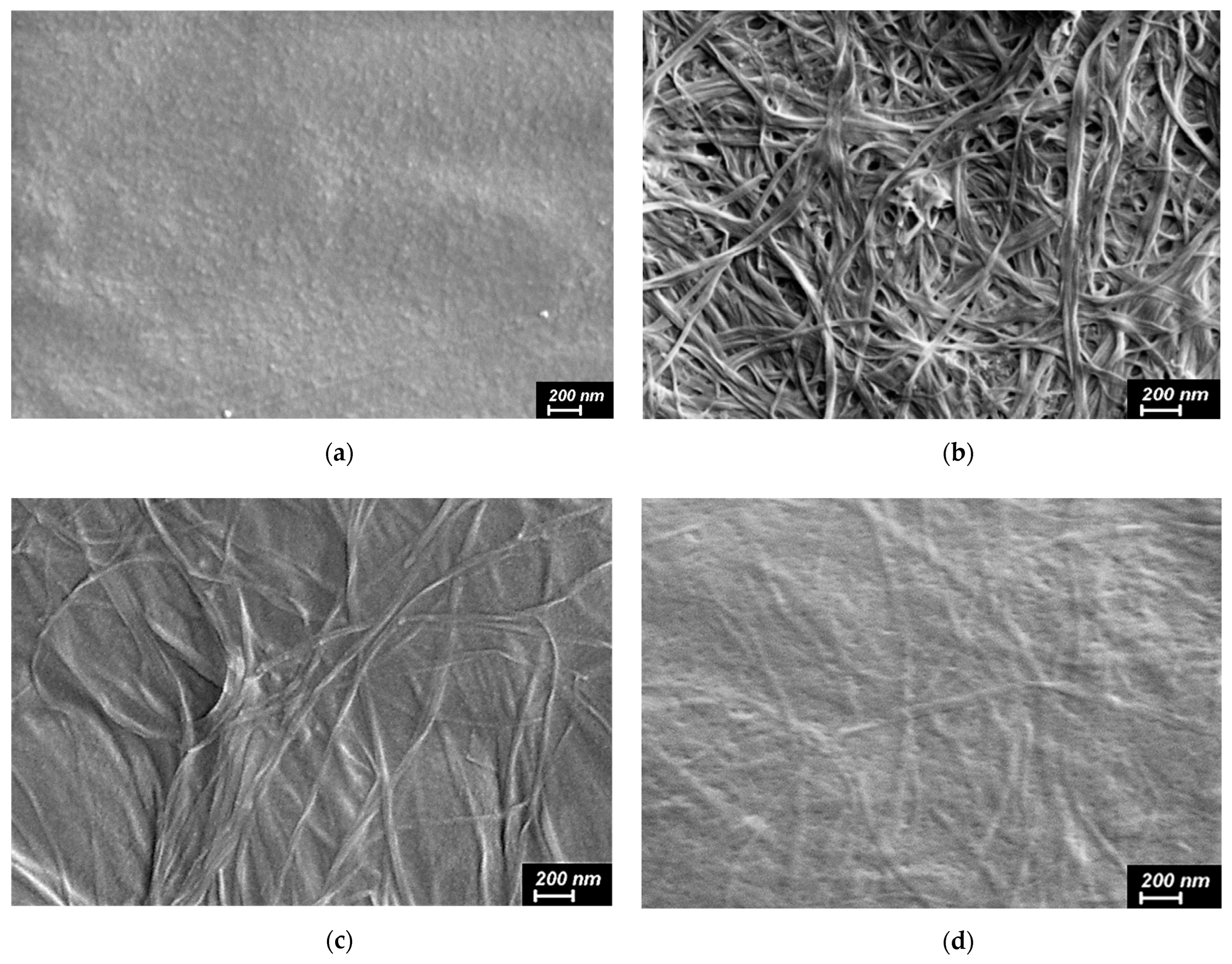 Ijms 24 05415 g006 Ijms 24 05415 g006