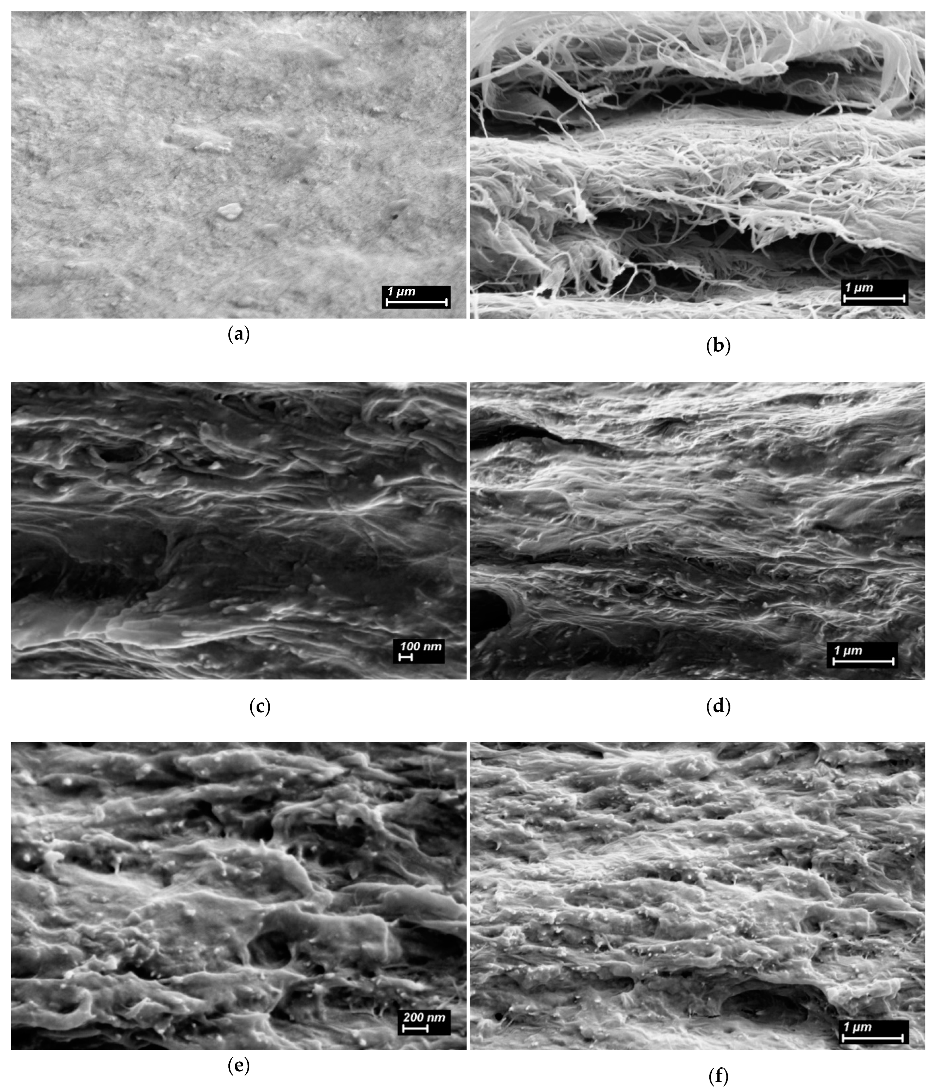 Ijms 24 05415 g007 Ijms 24 05415 g007