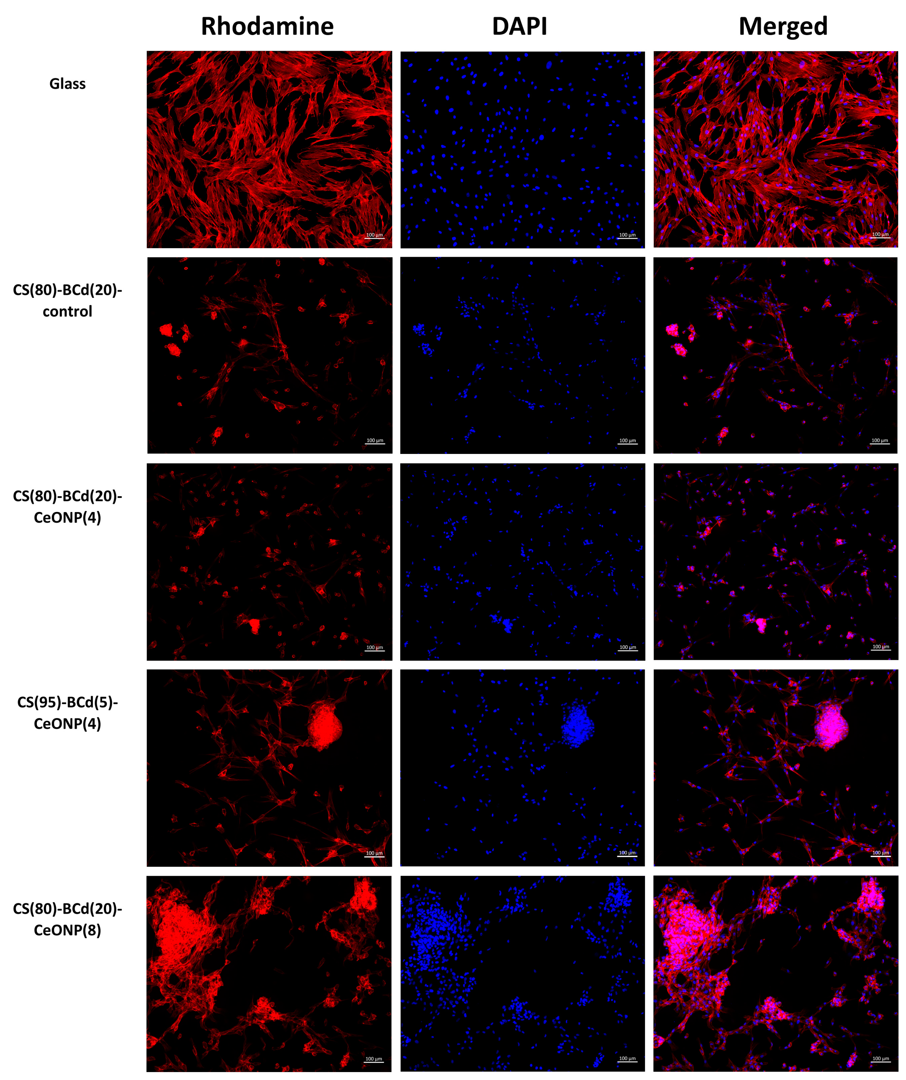 Ijms 24 05415 g009 Ijms 24 05415 g009
