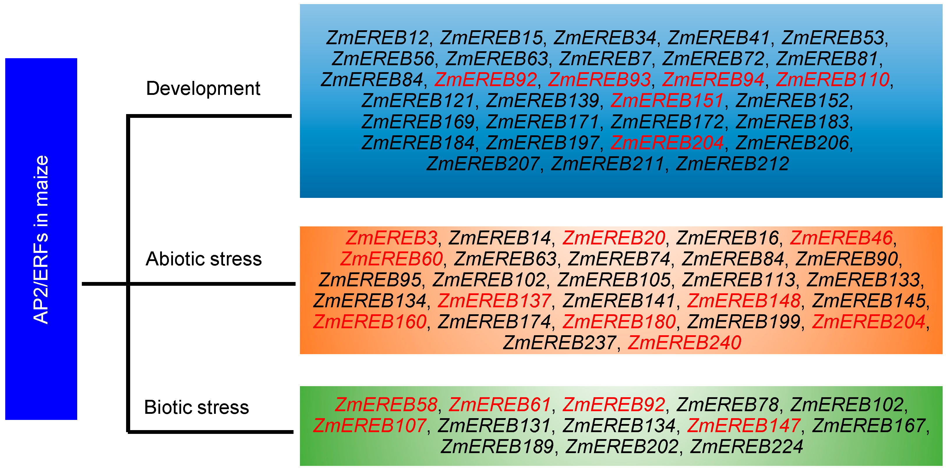 Ijms 24 05416 g004 Ijms 24 05416 g004