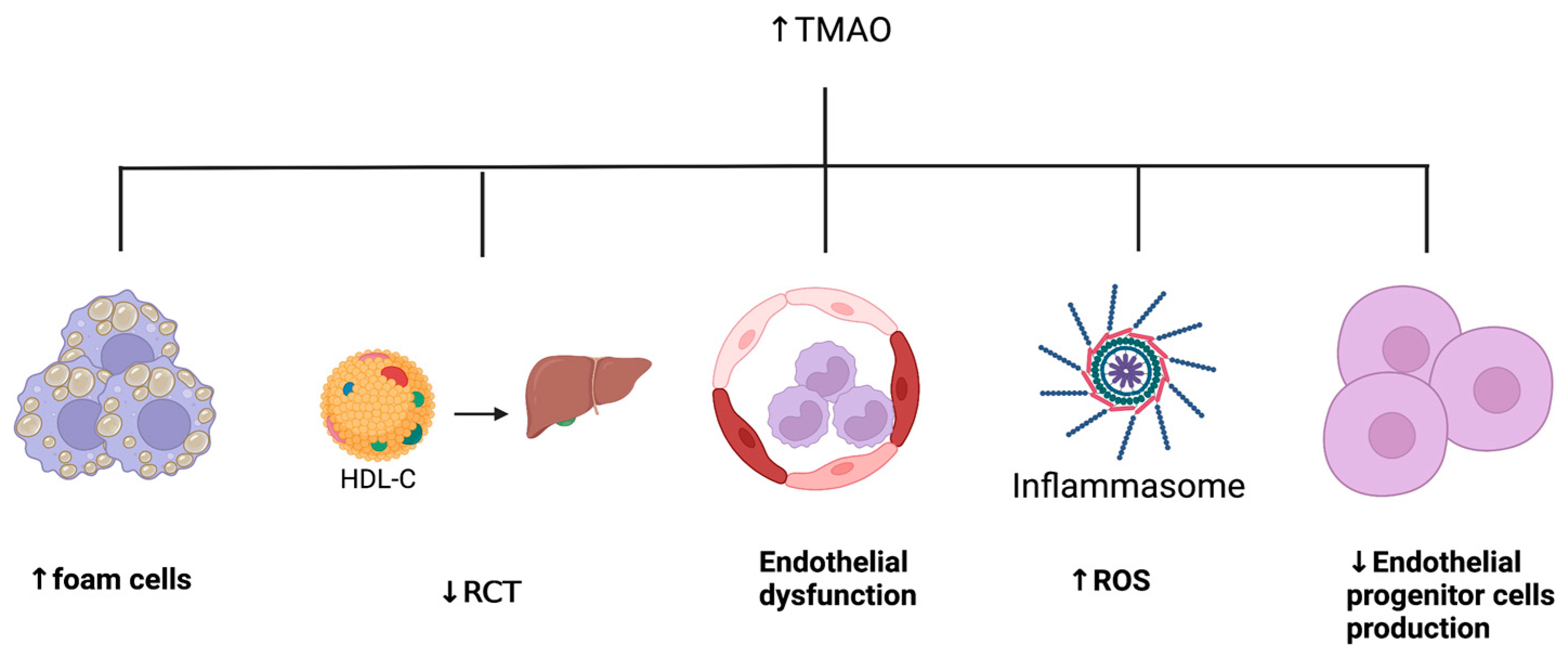 Ijms 24 05420 g002 Ijms 24 05420 g002
