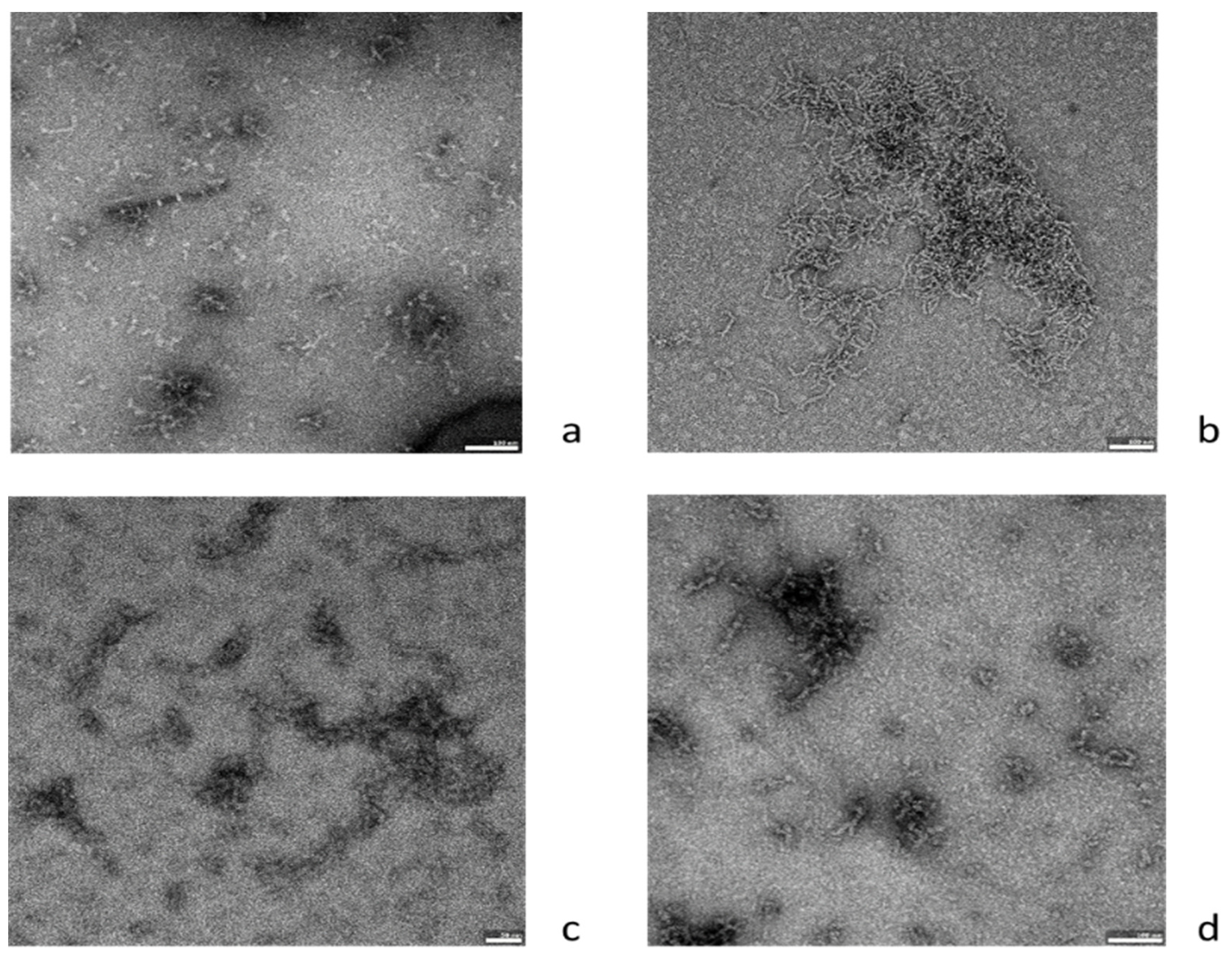 Ijms 24 05433 g004 Ijms 24 05433 g004