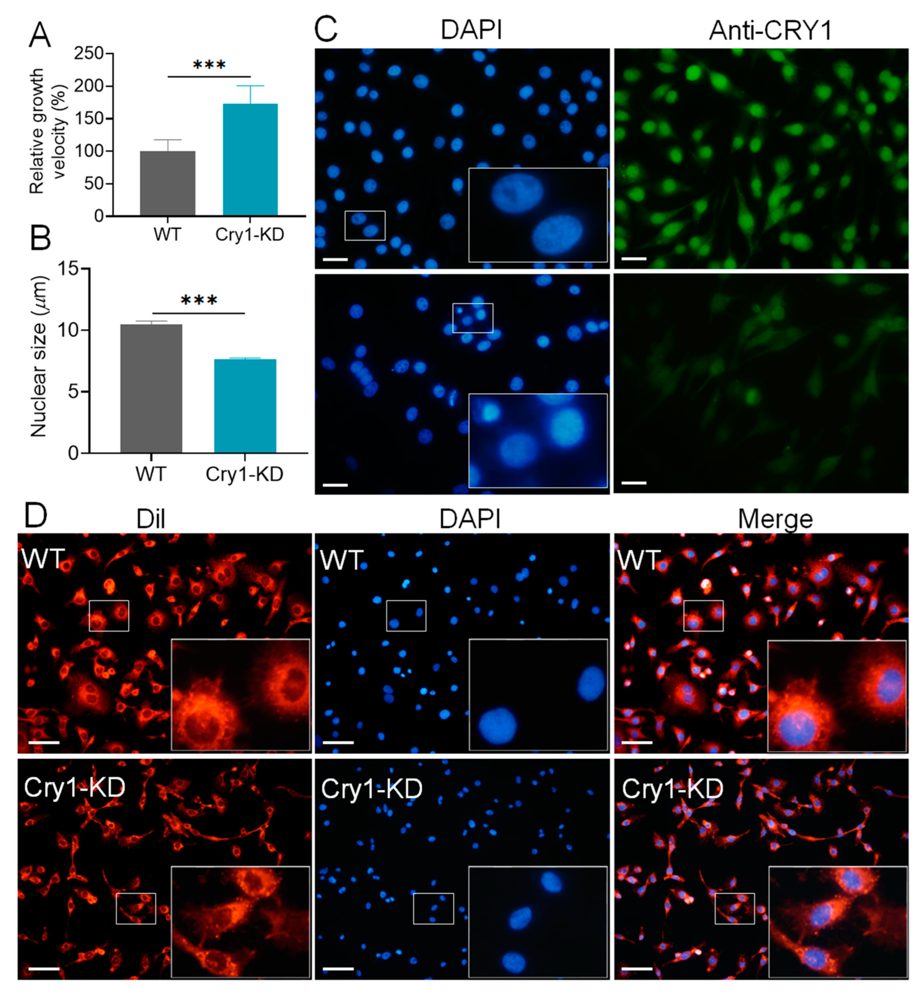 Ijms 24 05435 g002 Ijms 24 05435 g002