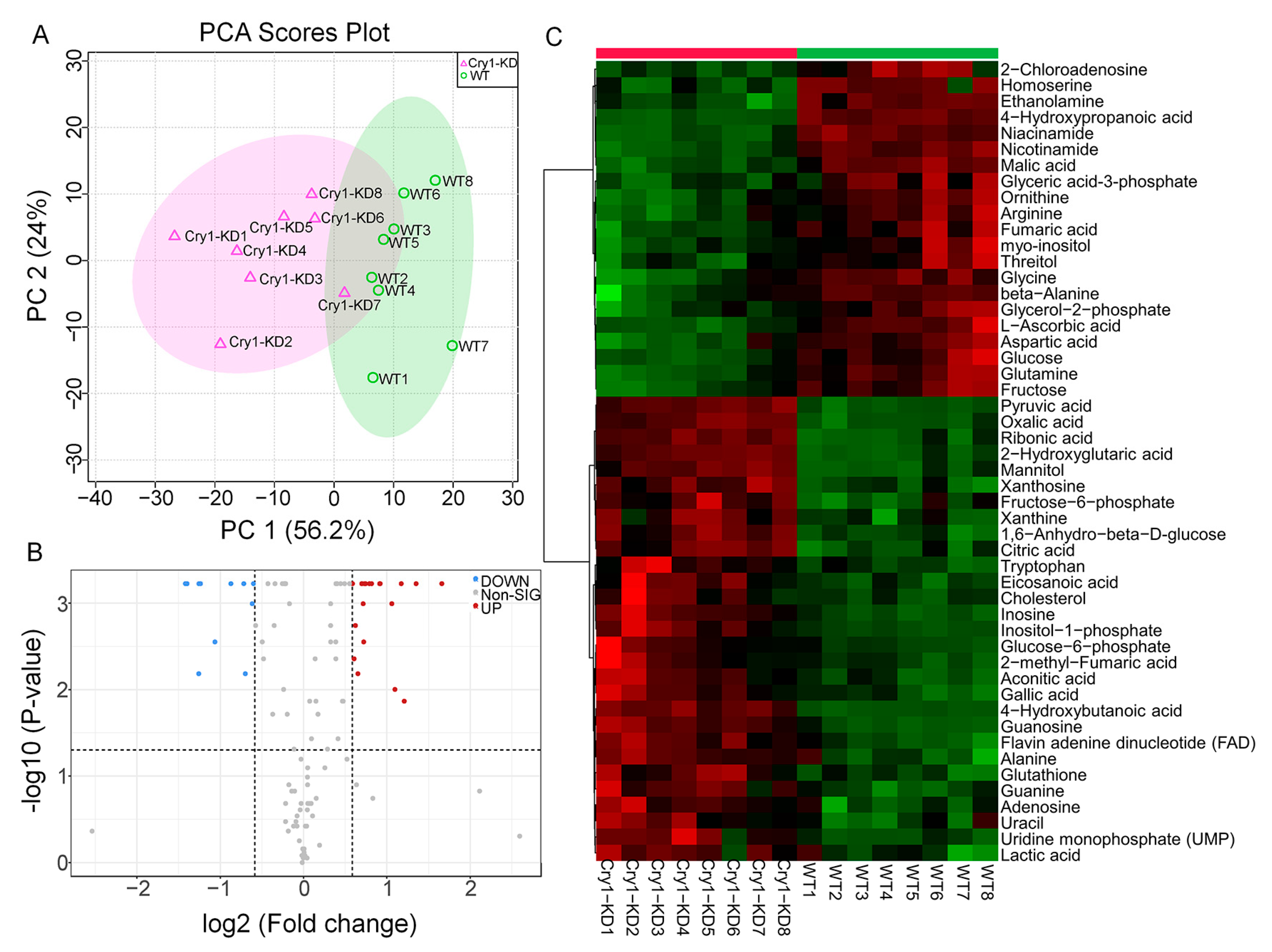 Ijms 24 05435 g003 Ijms 24 05435 g003