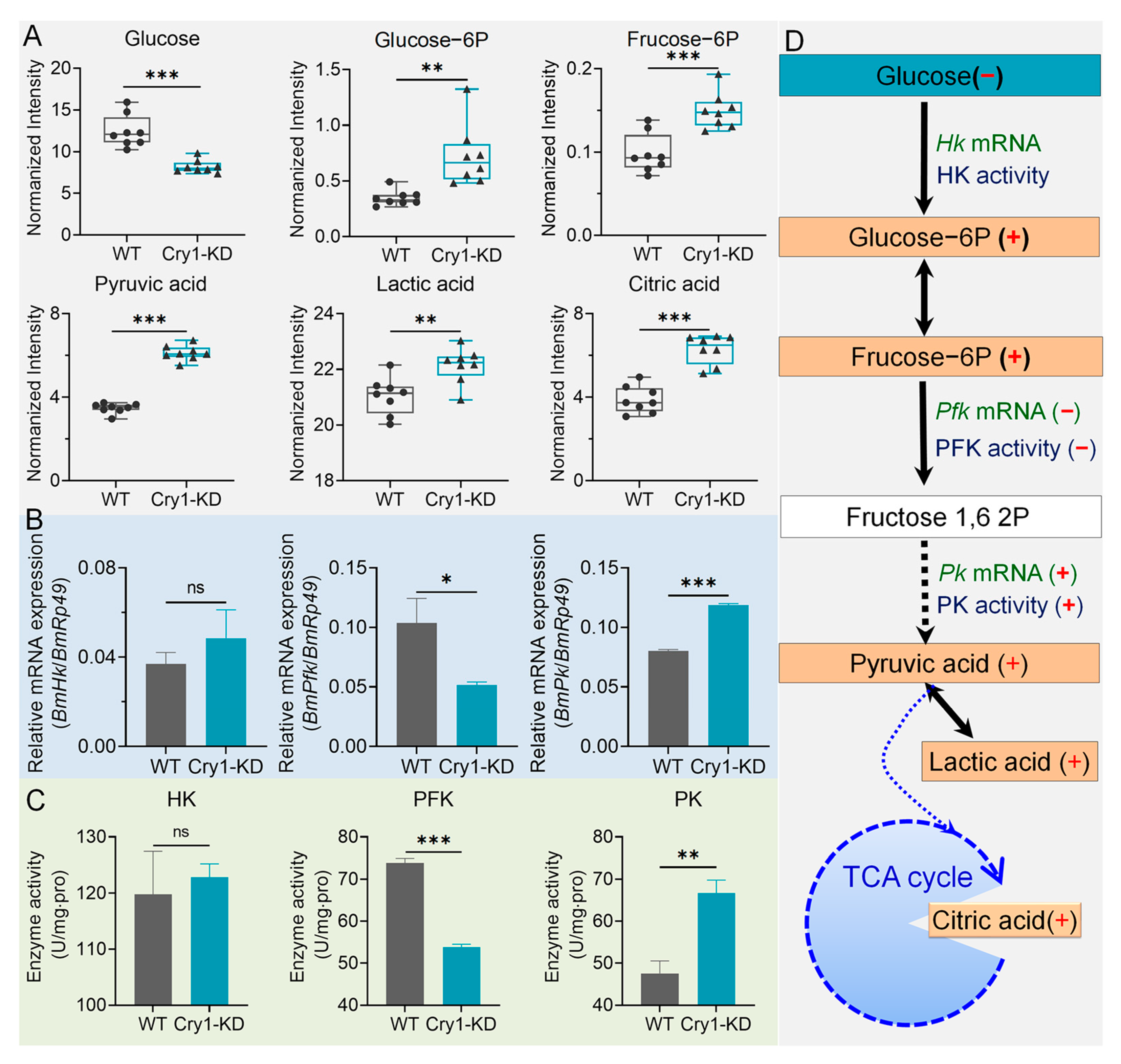 Ijms 24 05435 g006 Ijms 24 05435 g006