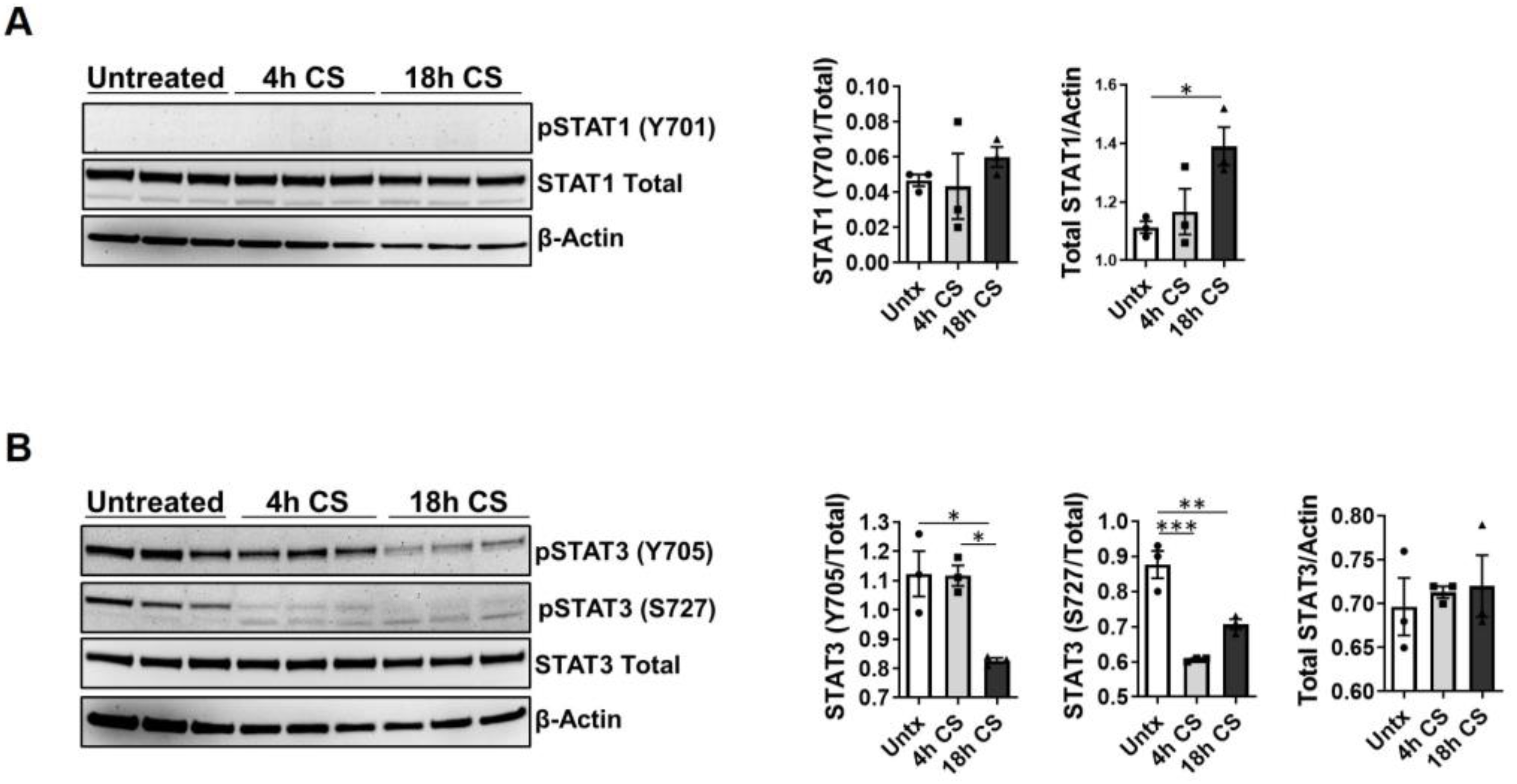Ijms 24 05468 g002 Ijms 24 05468 g002